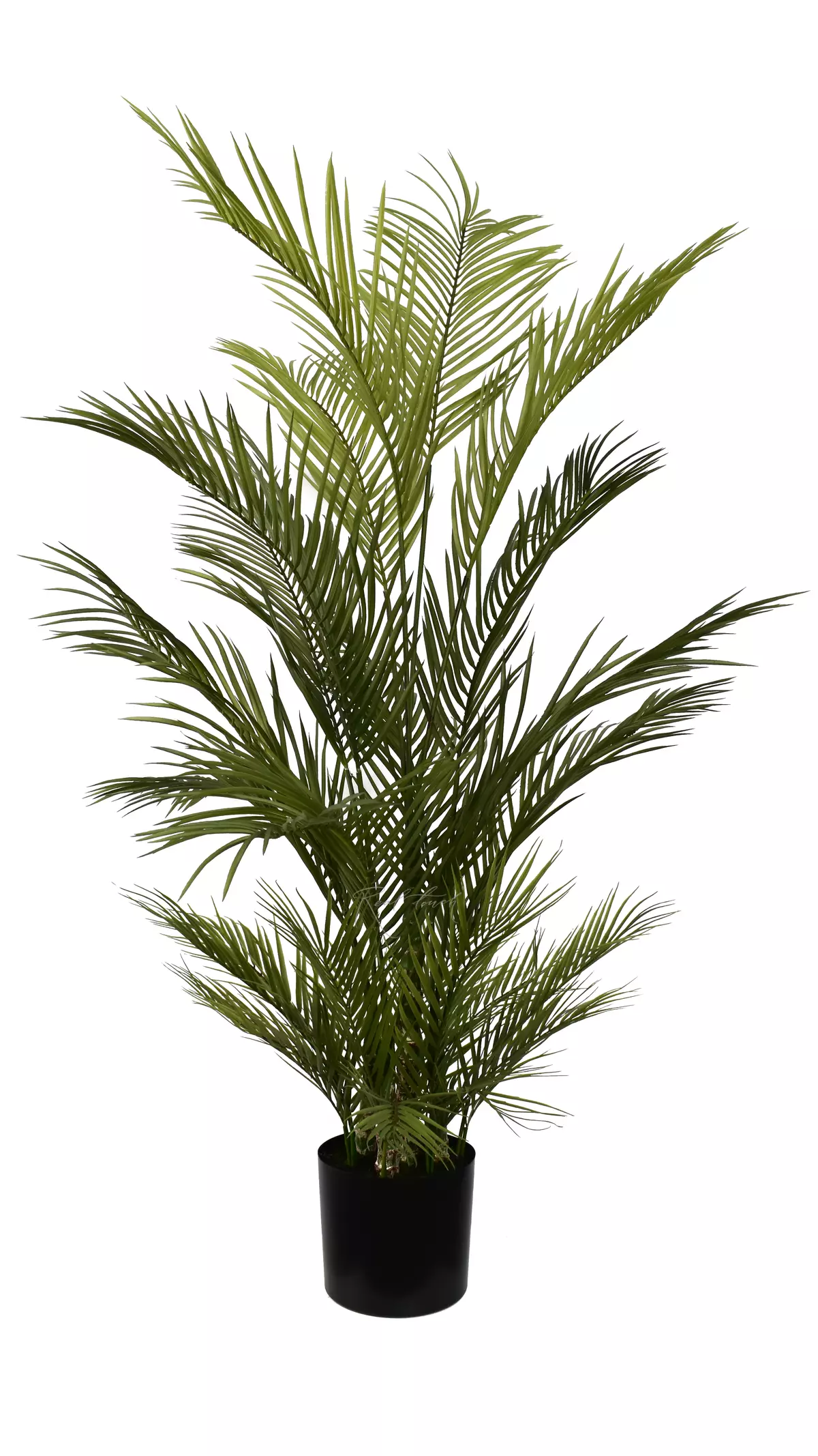 Real Touch Areca Chrysalidocarpus Palm 150cm - green Real Touch Areca Chrysalidocarpus Palm 150cm - green