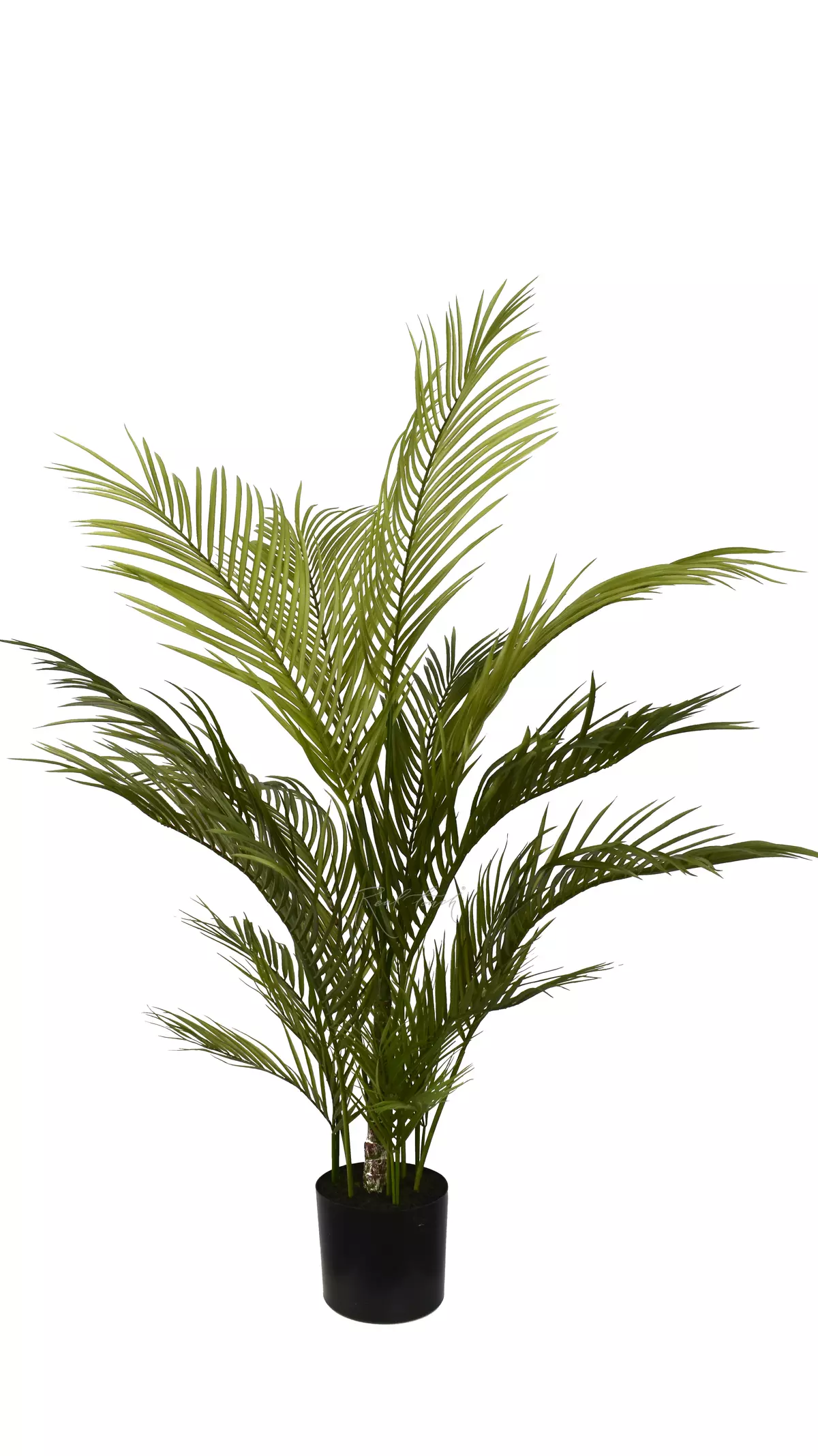 Real Touch Areca Chrysalidocarpus palm 120cm in a pot - green Real Touch Areca Chrysalidocarpus palm 120cm in a pot - green