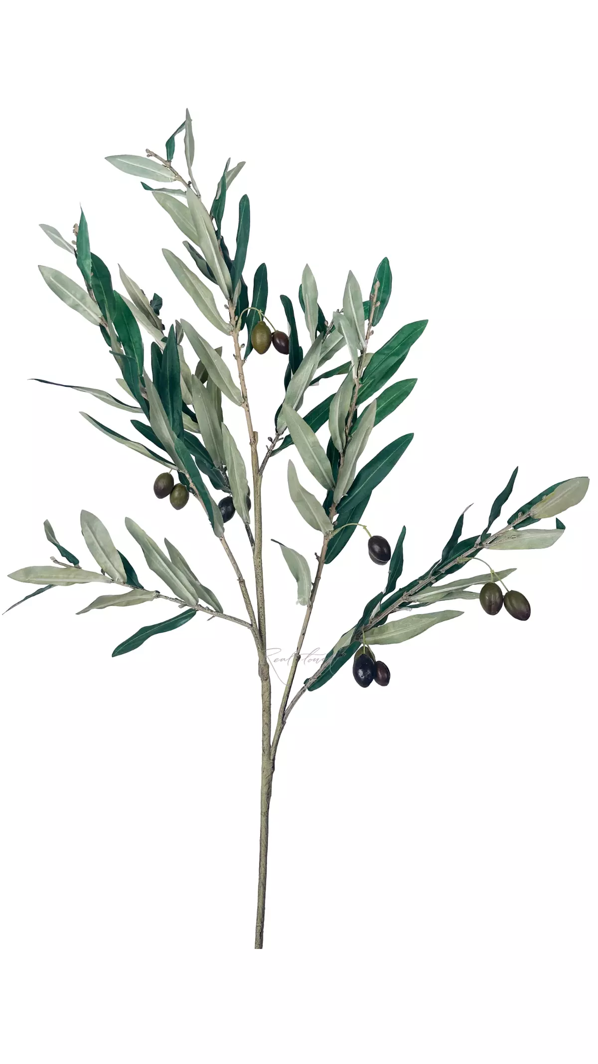 Olive branch with fruits 103cm with UV protection - green Olive branch with fruits 103cm with UV protection - green