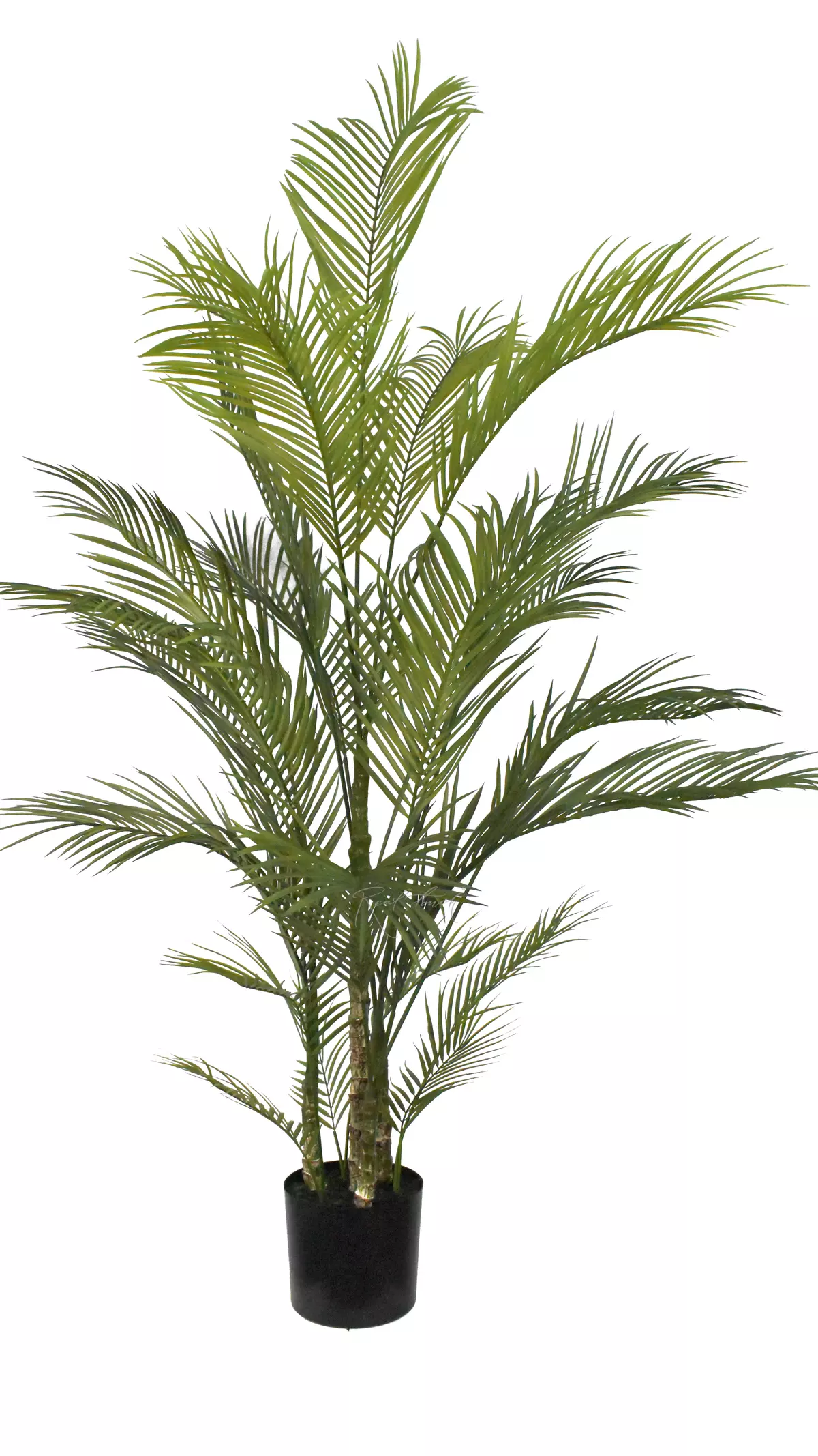Real Touch Areca Chrysalidocarpus Palm 180cm - green Real Touch Areca Chrysalidocarpus Palm 180cm - green