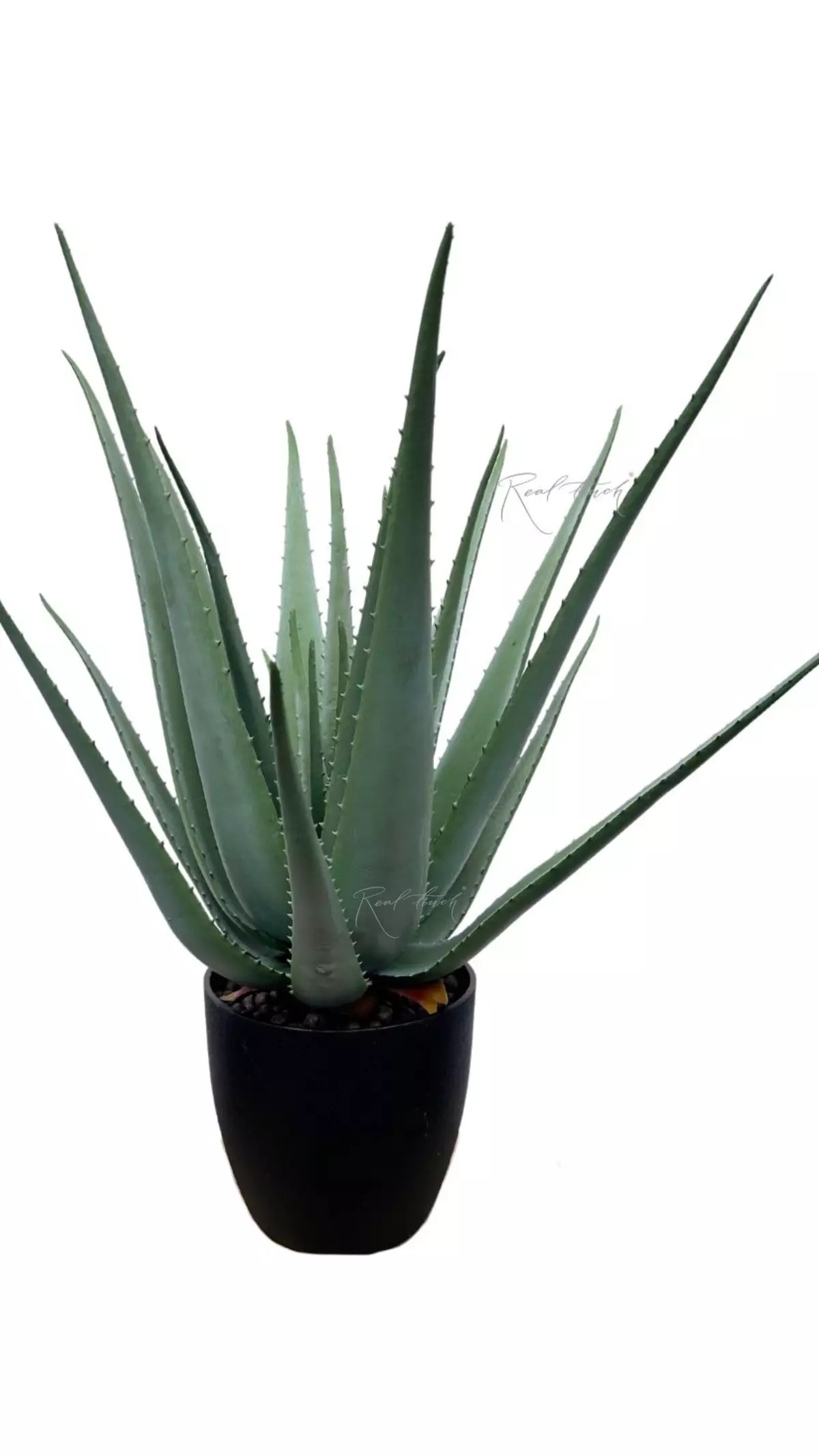 Aloe in a pot 26" - green Aloe in a pot 26" - green