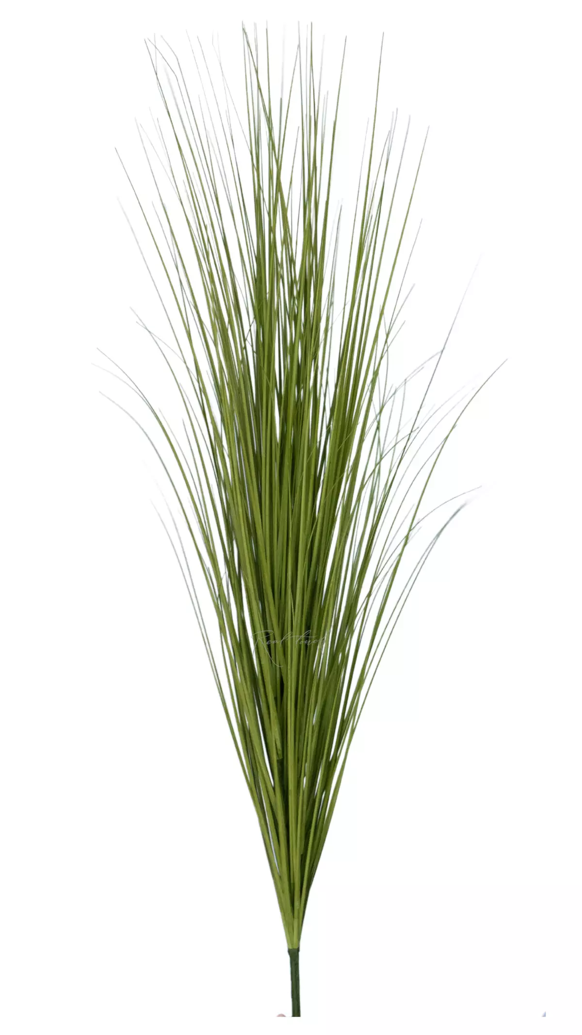 Bunch of fine grass 120cm - Green brown