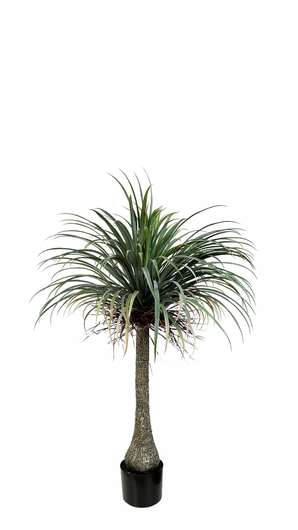 Artificial Nolina 165cm - green Artificial Nolina 165cm - green