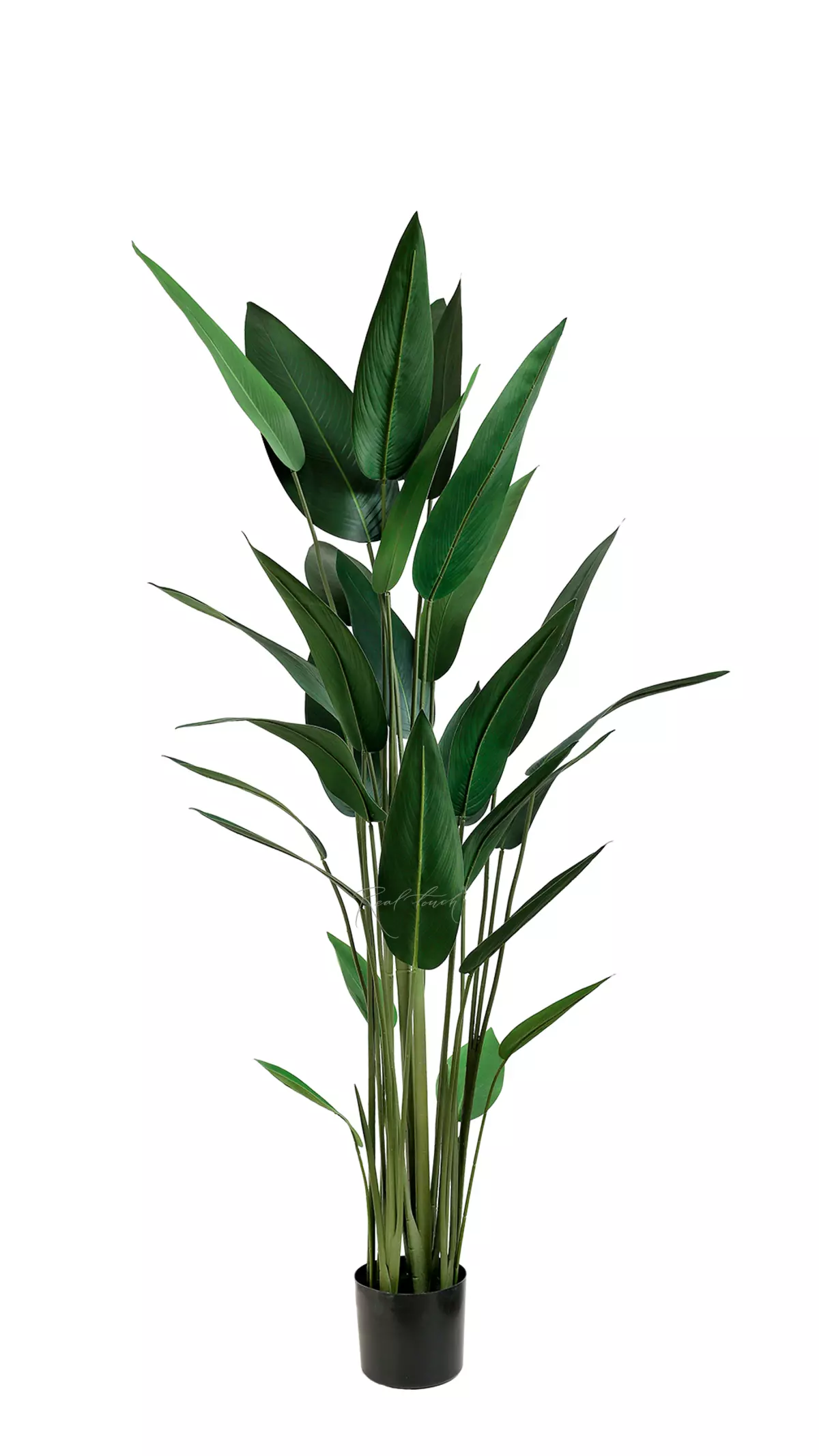Artificial Strelitzia reginae 180cm  - green