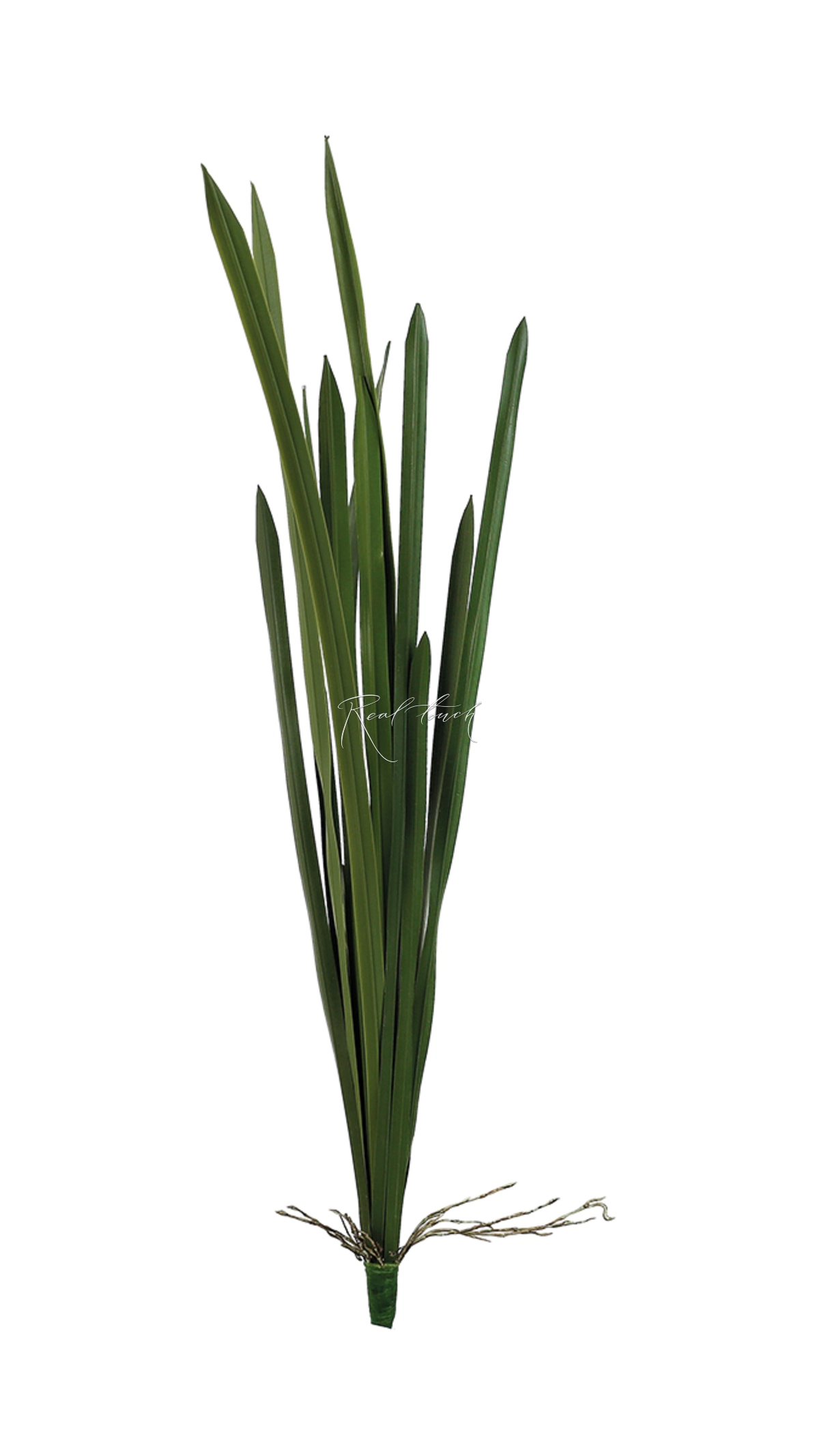 12-leaf bush tall - green