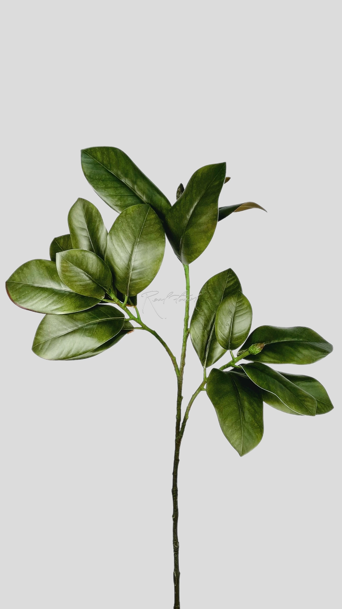 Branch with leaves of magnolia 90cm (3 branches) - green