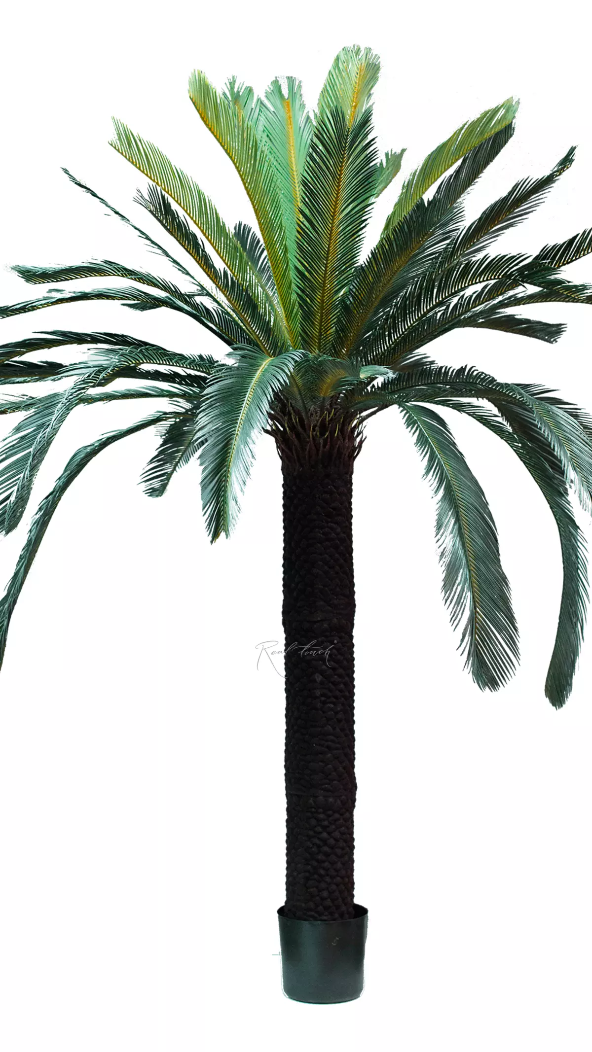 Artificial Cycas Palm 210cm - green Artificial Cycas Palm 210cm - green