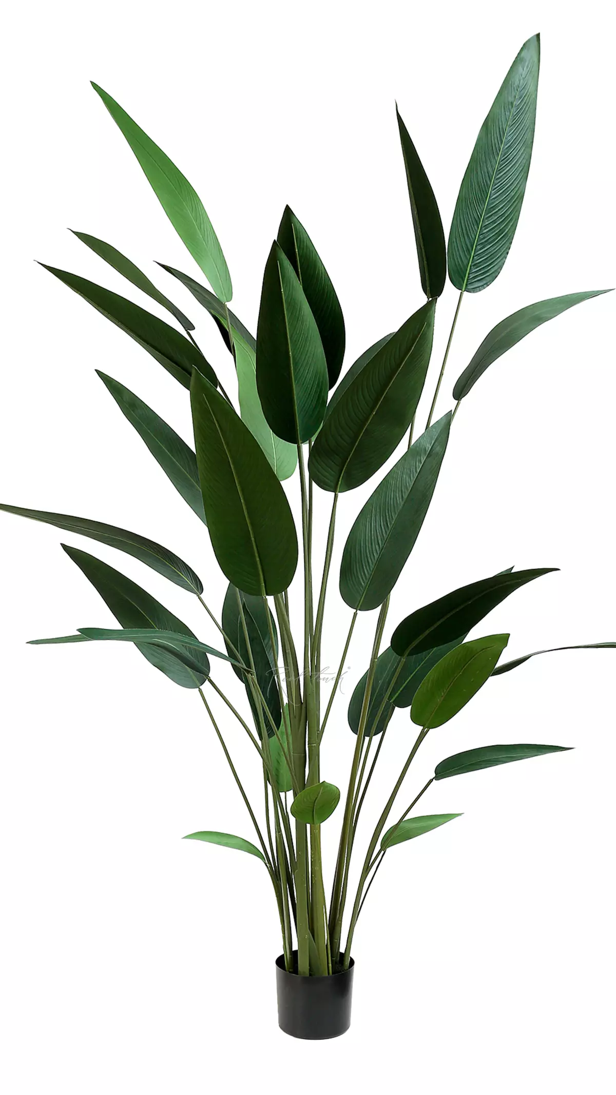 Artificial Strelitzia reginae 210cm  - green
