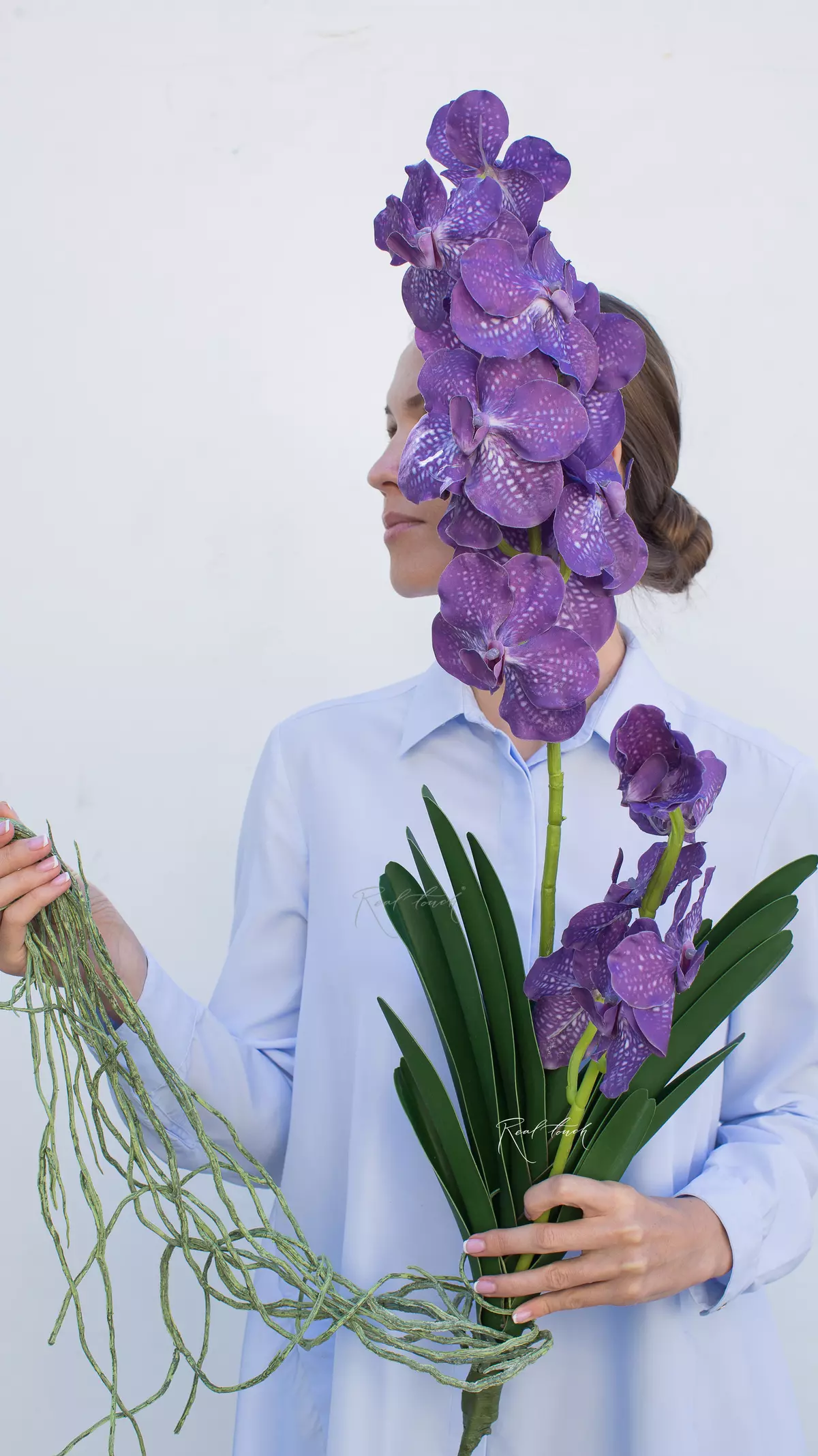 Vanda 2 branches with leaves and roots - dark purple