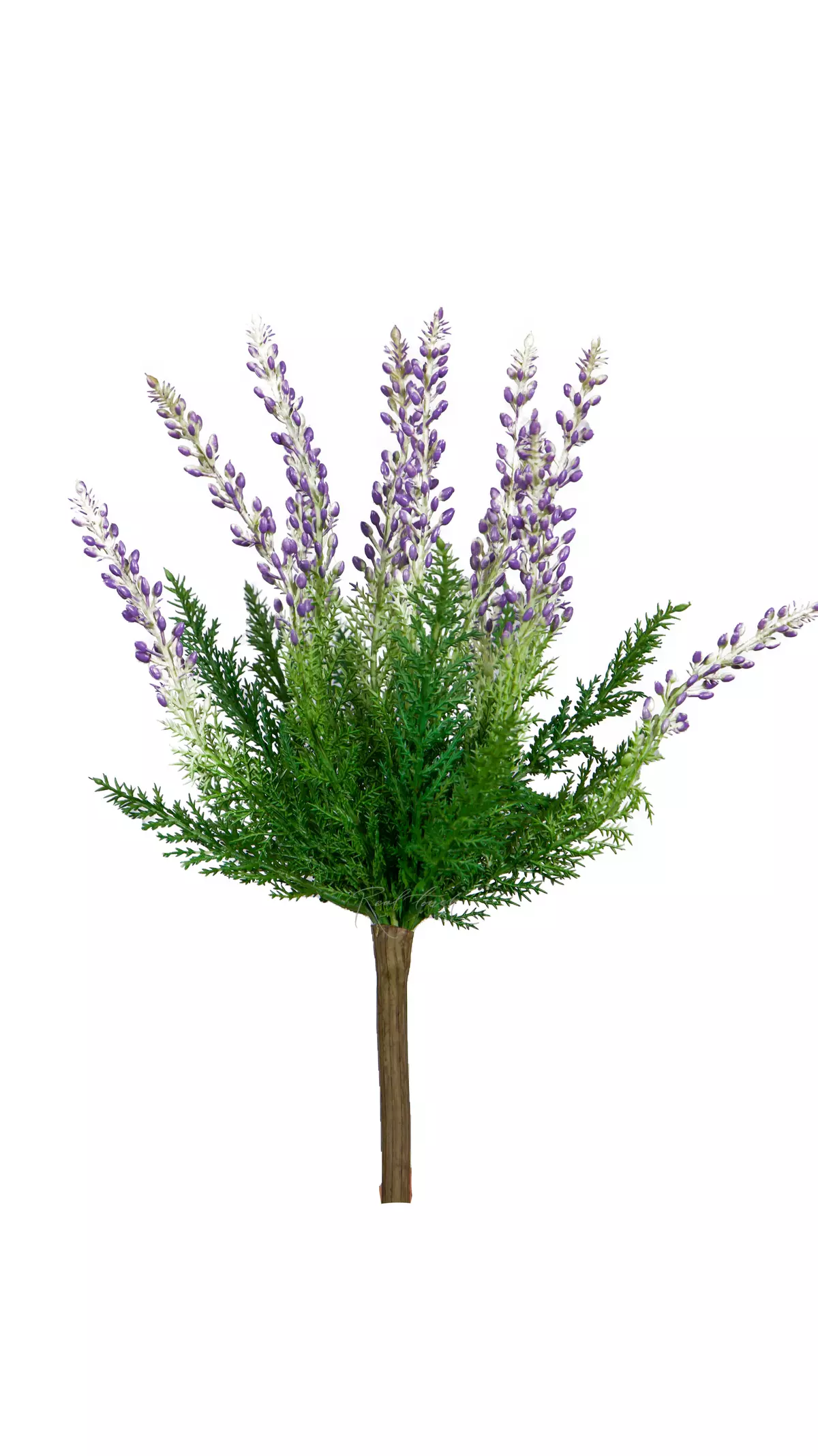 Heather - purple Heather - purple