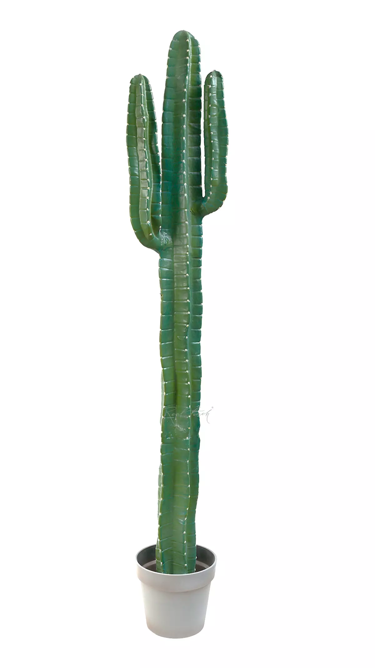 Real Touch Cactus Cereus big 141cm (with white needles)  - green