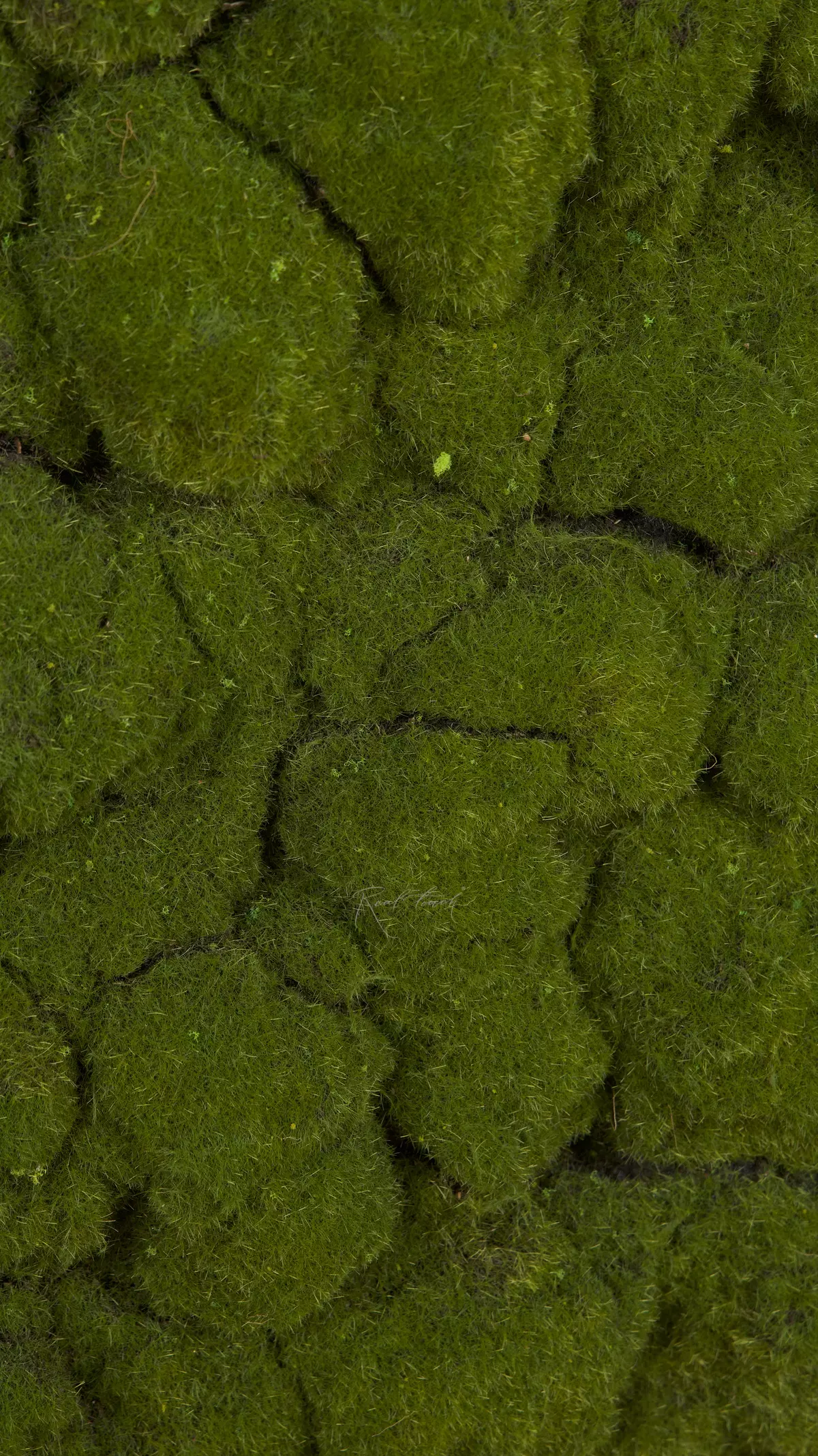 Moss mat 1*1м 9-1 - green Moss mat 1*1м 9-1 - green