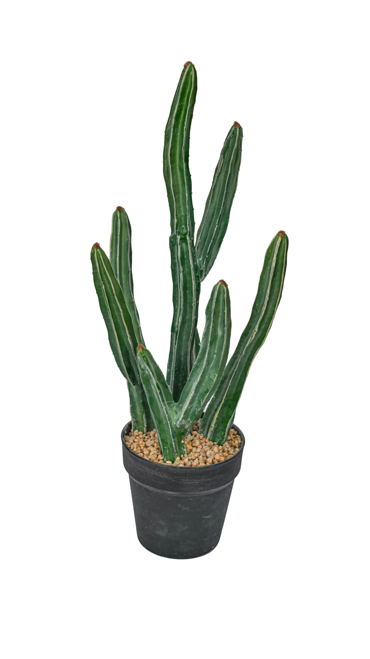 Cactus Sultan 51cm - Dark green Cactus Sultan 51cm - Dark green