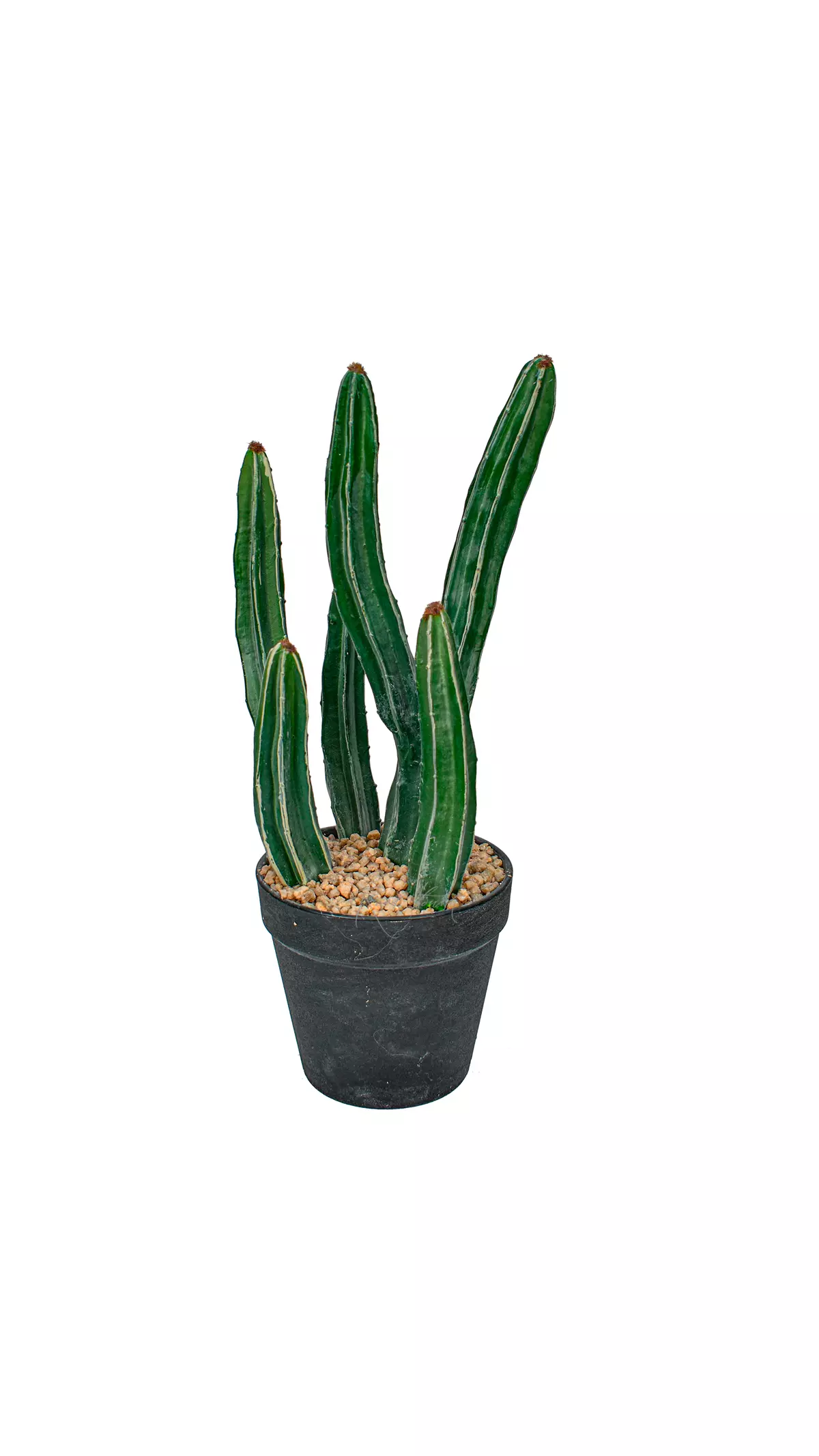 Cactus Sultan 36cm - Dark green Cactus Sultan 36cm - Dark green