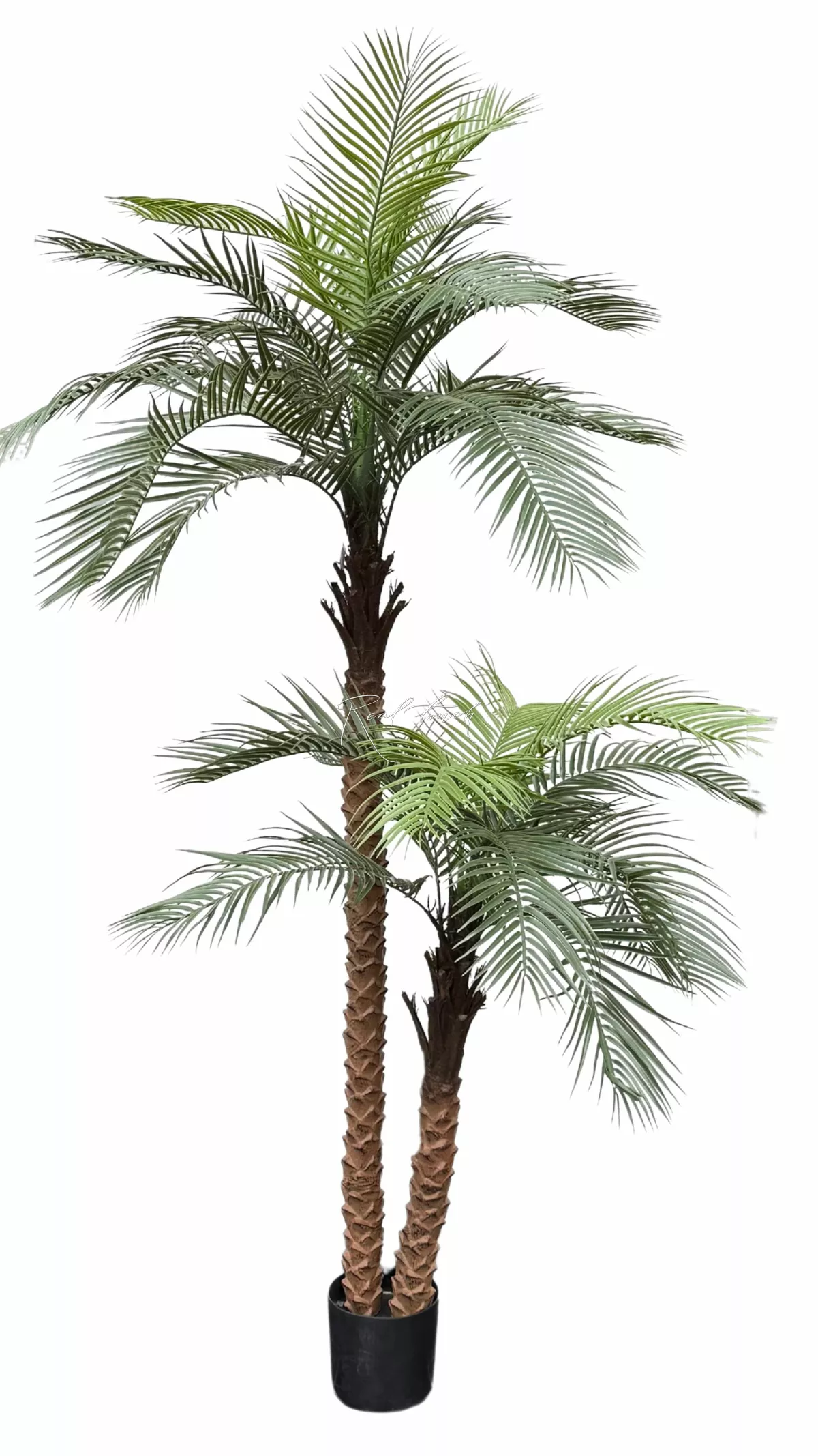 Coconut palm 240cm - green