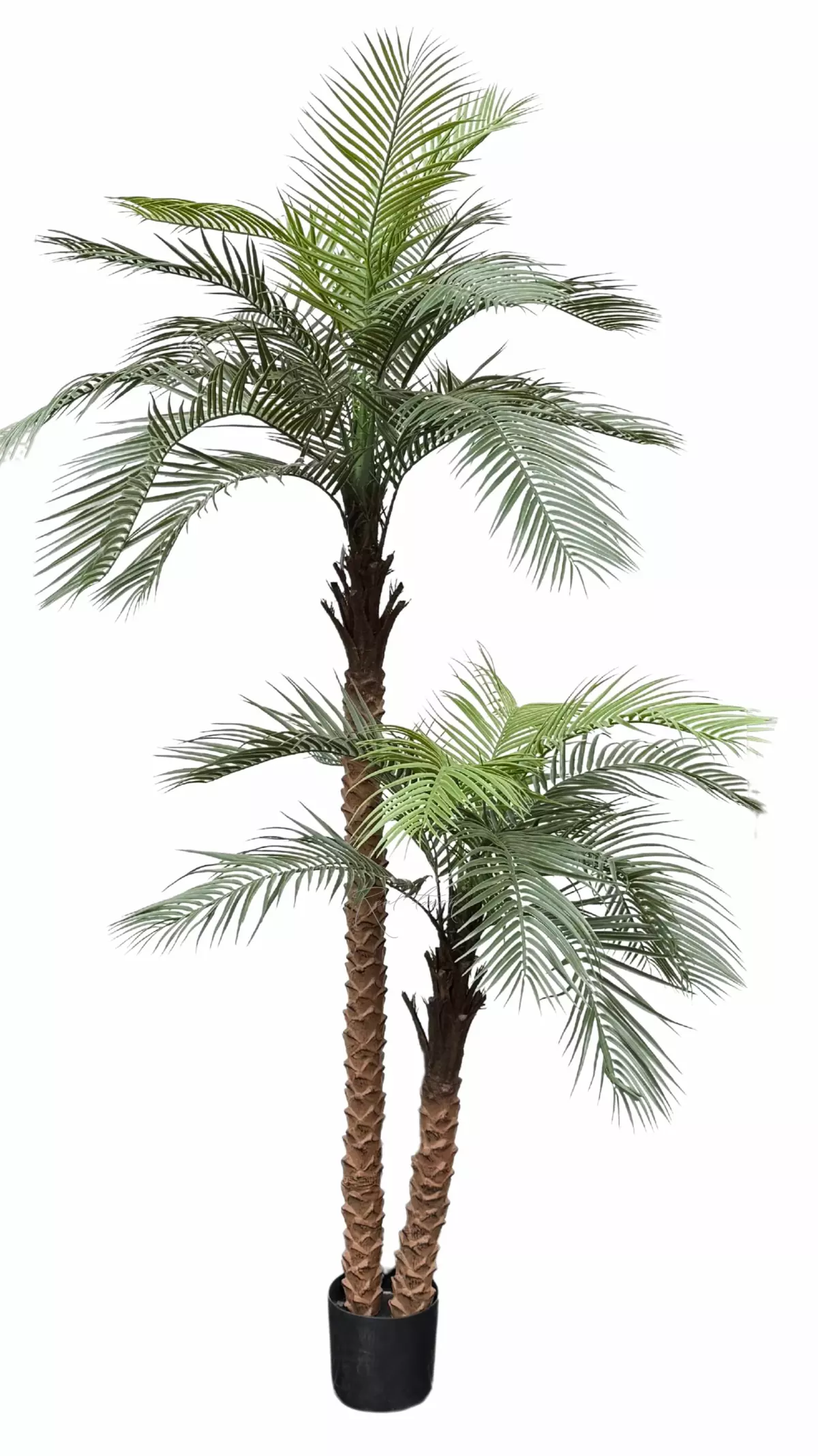 Coconut palm 240cm - green Coconut palm 240cm - green