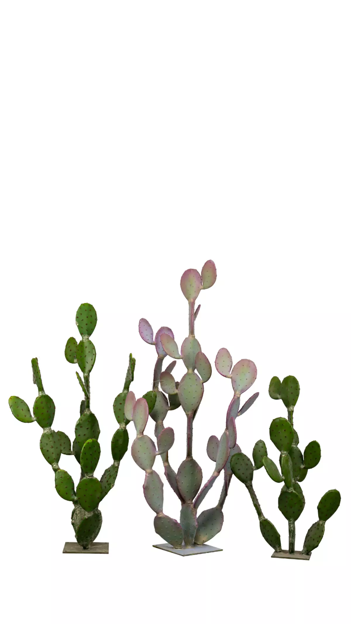Cactus Opuntia giant 204cm - pink