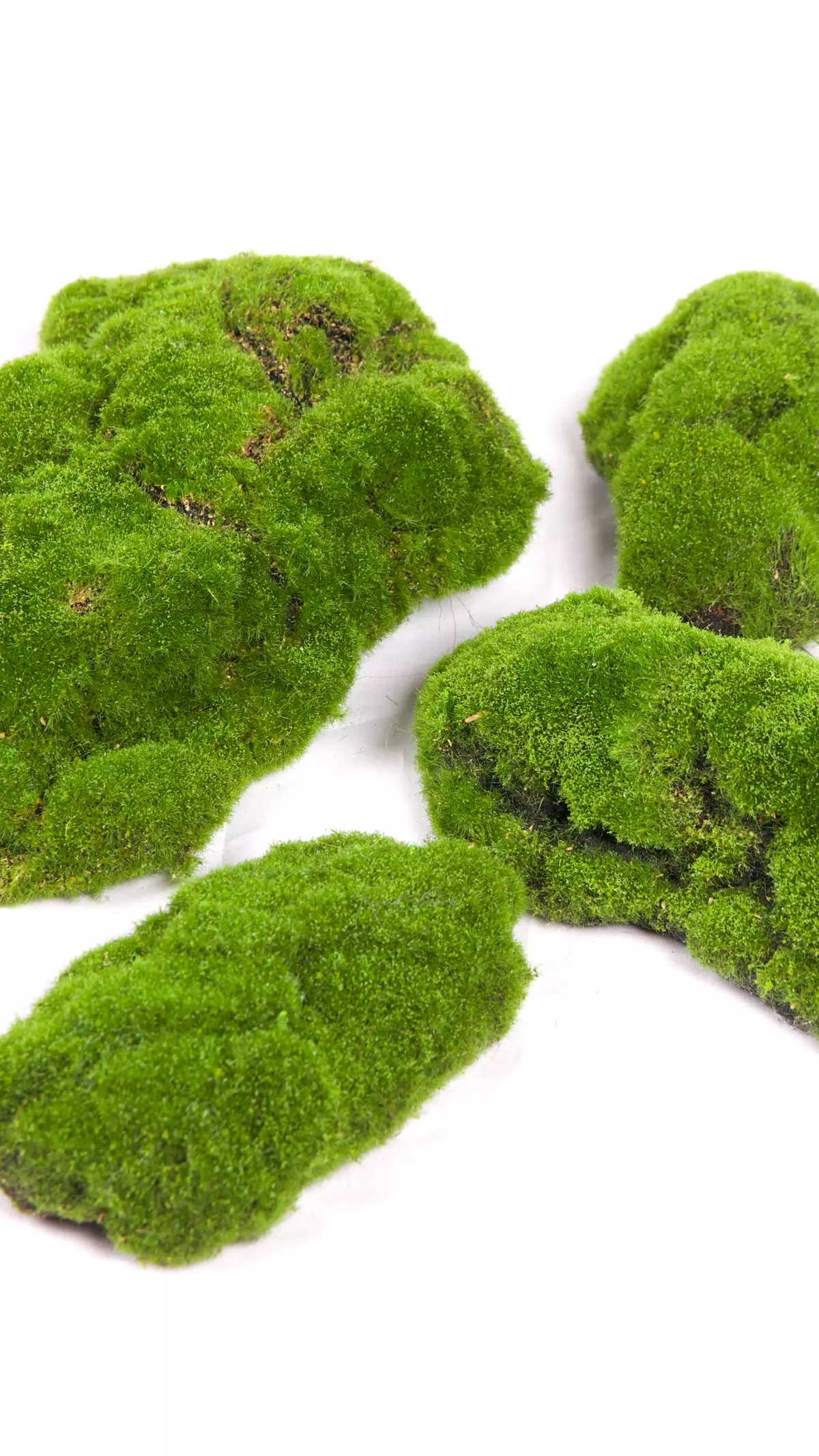 Moss hummocks big (set of 4pcs) BF5-5 - green Moss hummocks big (set of 4pcs) BF5-5 - green