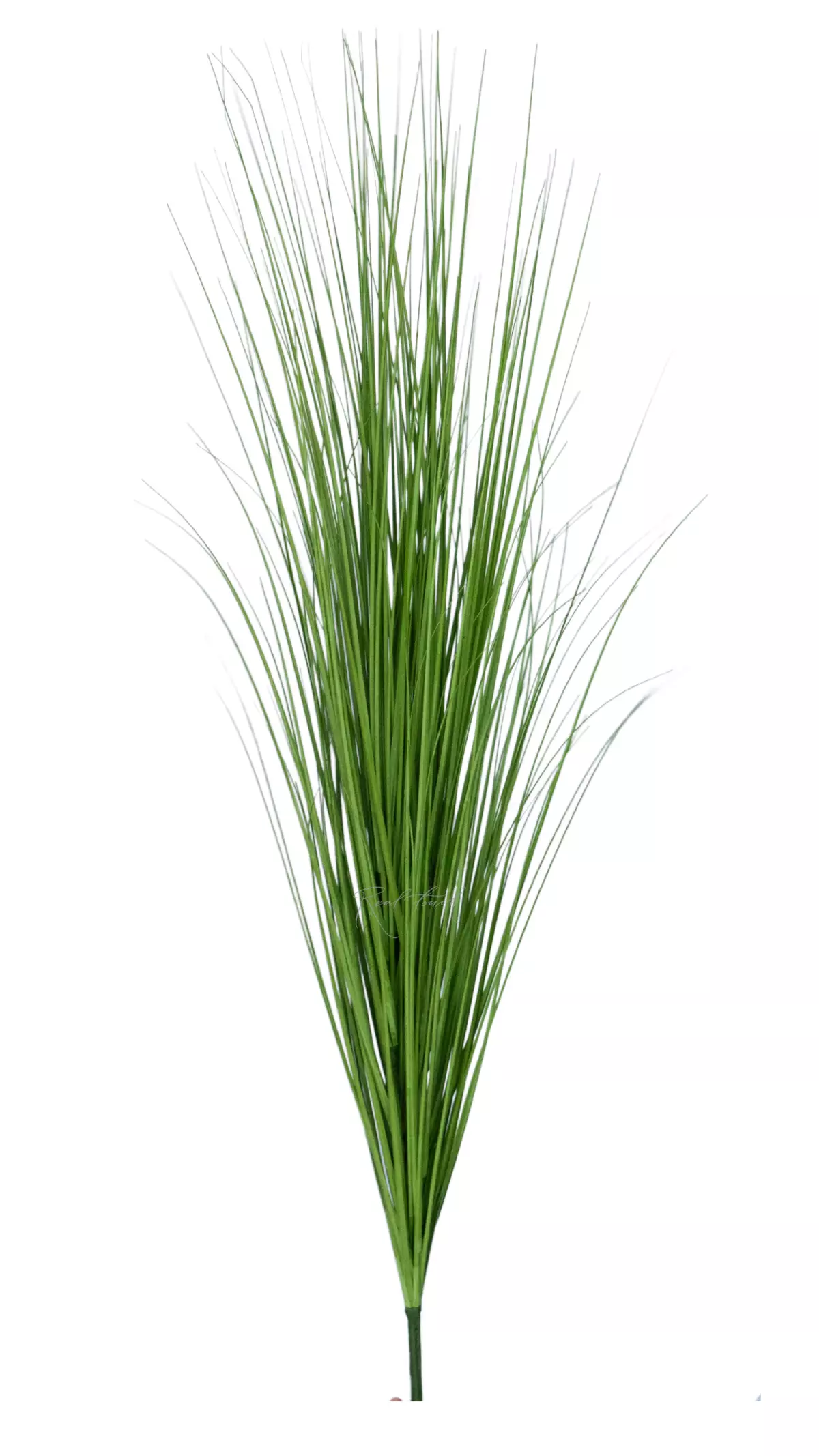 Bunch of fine grass 120cm - green
