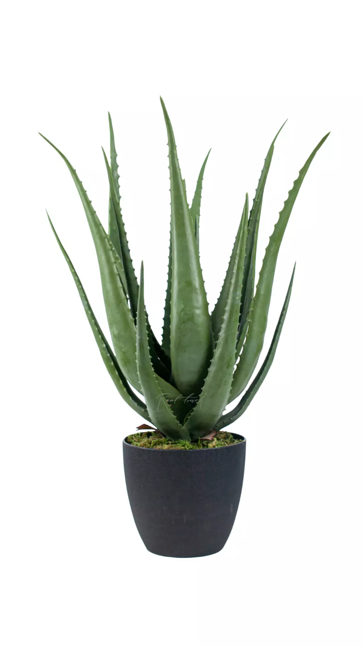Real Touch Aloe in a pot 69cm - green Real Touch Aloe in a pot 69cm - green