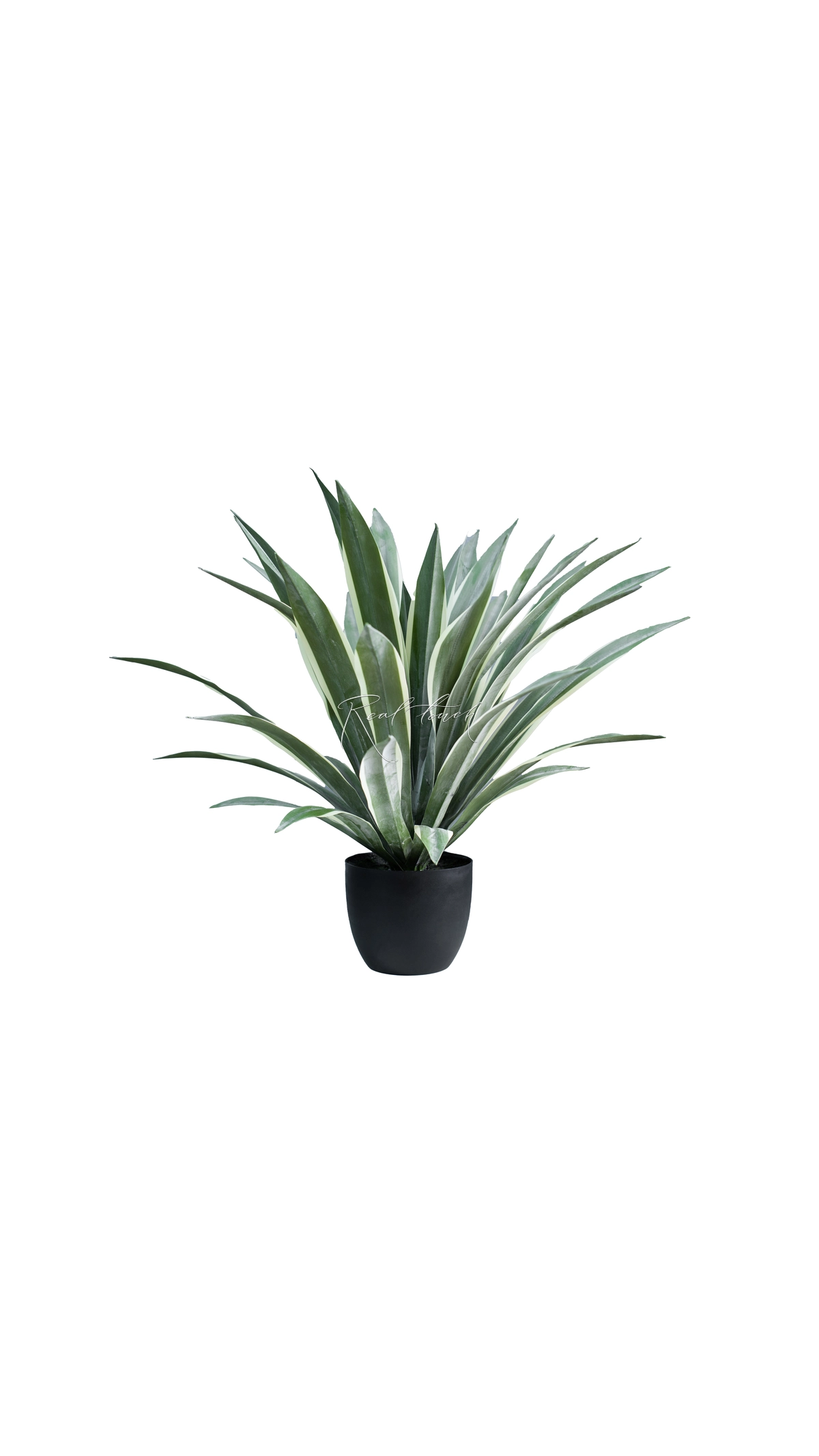 Real Touch Yucca Gloriosa of 47 leaves in a pot (75cm) - green