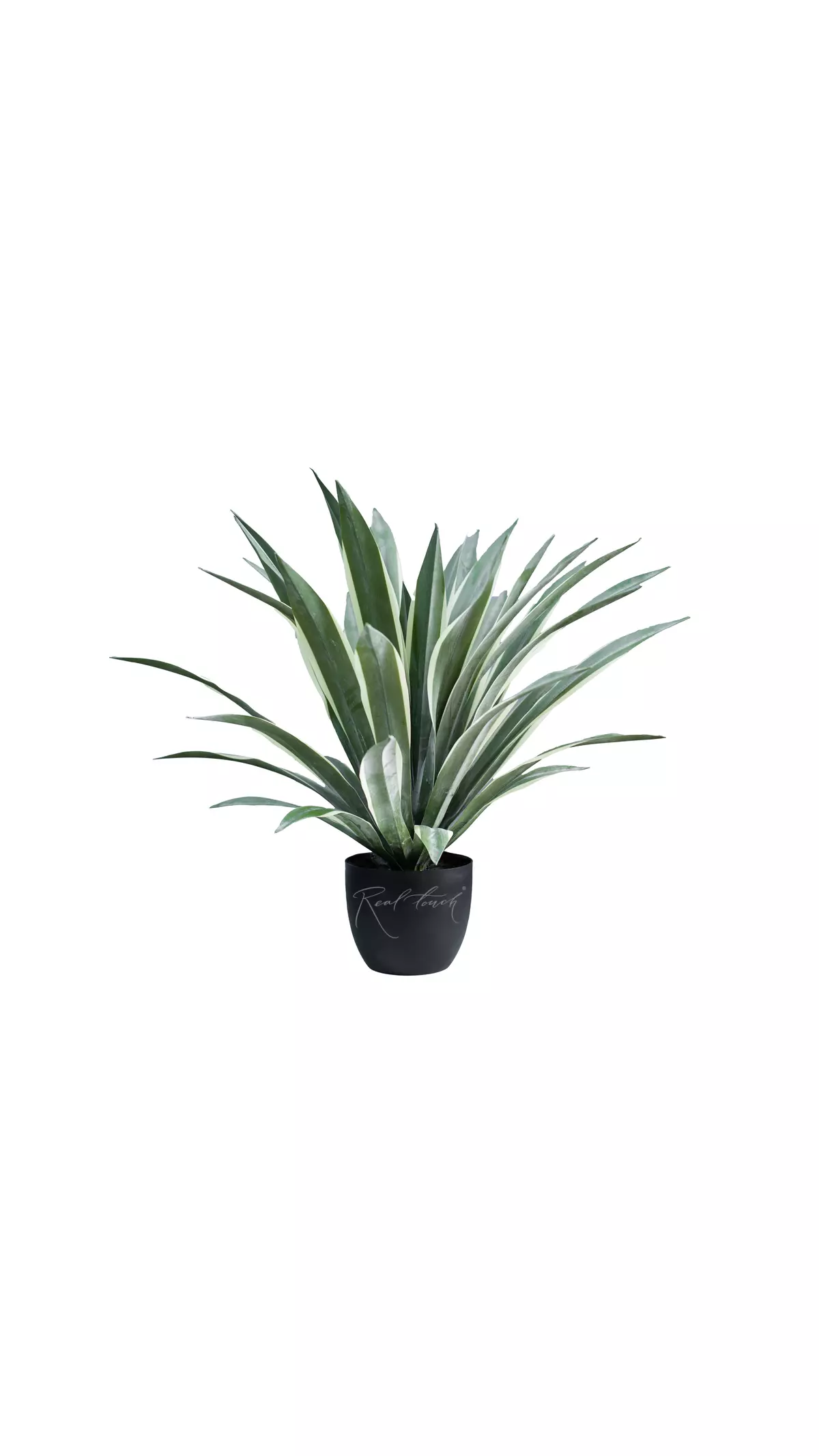 Real Touch Yucca Gloriosa of 47 leaves in a pot (75cm) - green Real Touch Yucca Gloriosa of 47 leaves in a pot (75cm) - green