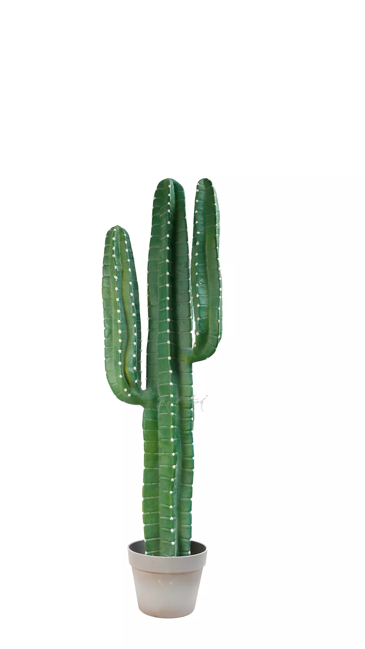 Real Touch Cactus Cereus medium 98cm (with white needles)  - green