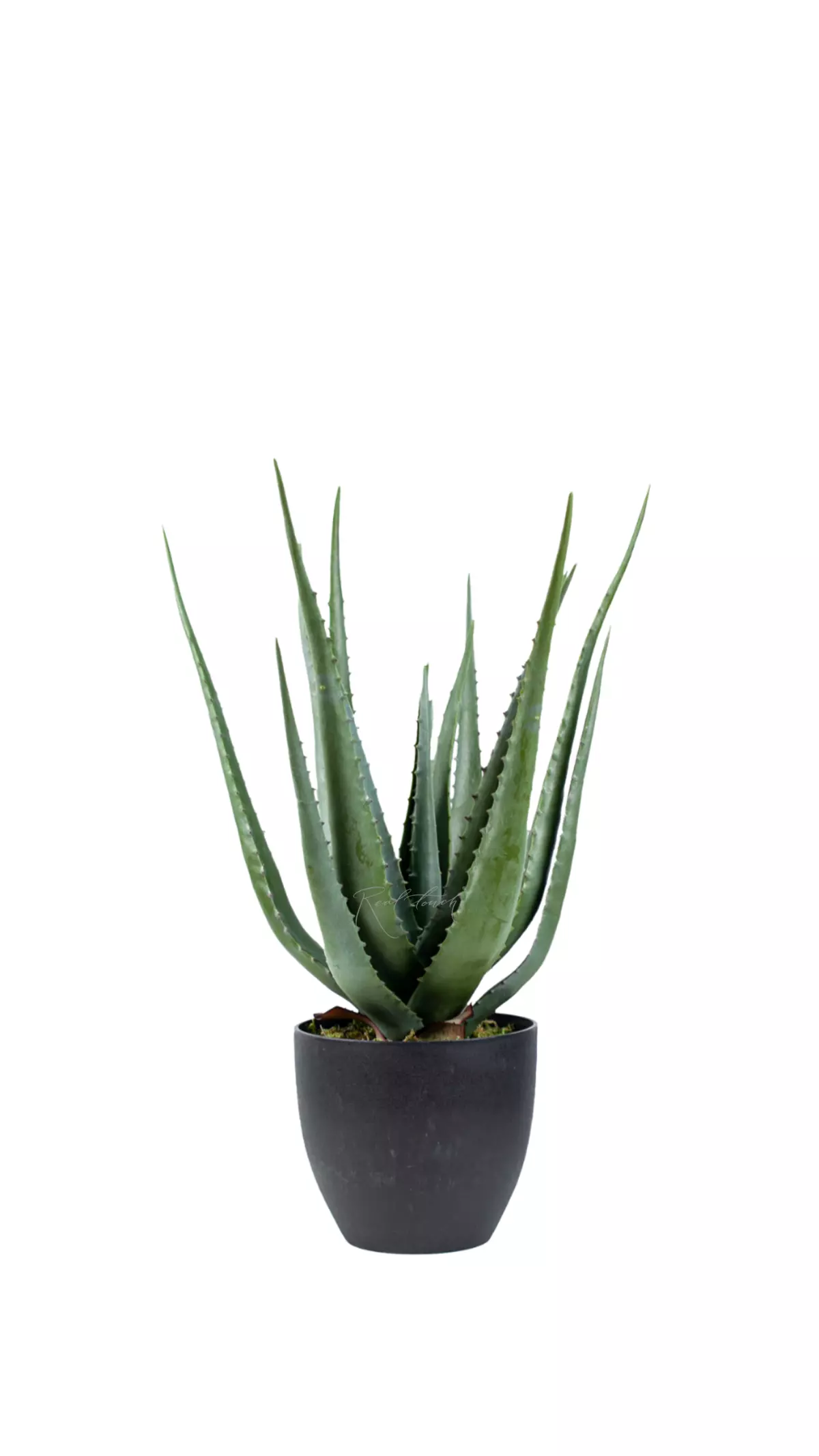 Real Touch Aloe in a pot 55cm - green Real Touch Aloe in a pot 55cm - green