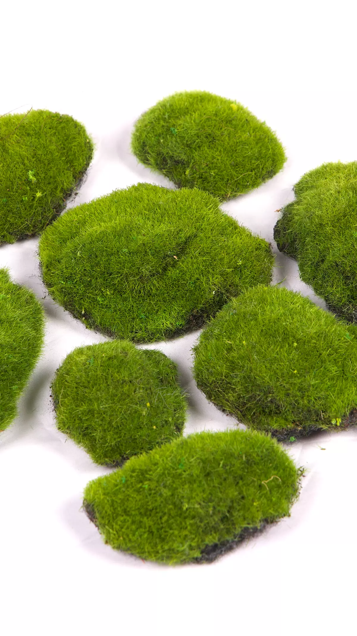 Moss hummocks small (set 10pcs) BF5-10 - green Moss hummocks small (set 10pcs) BF5-10 - green