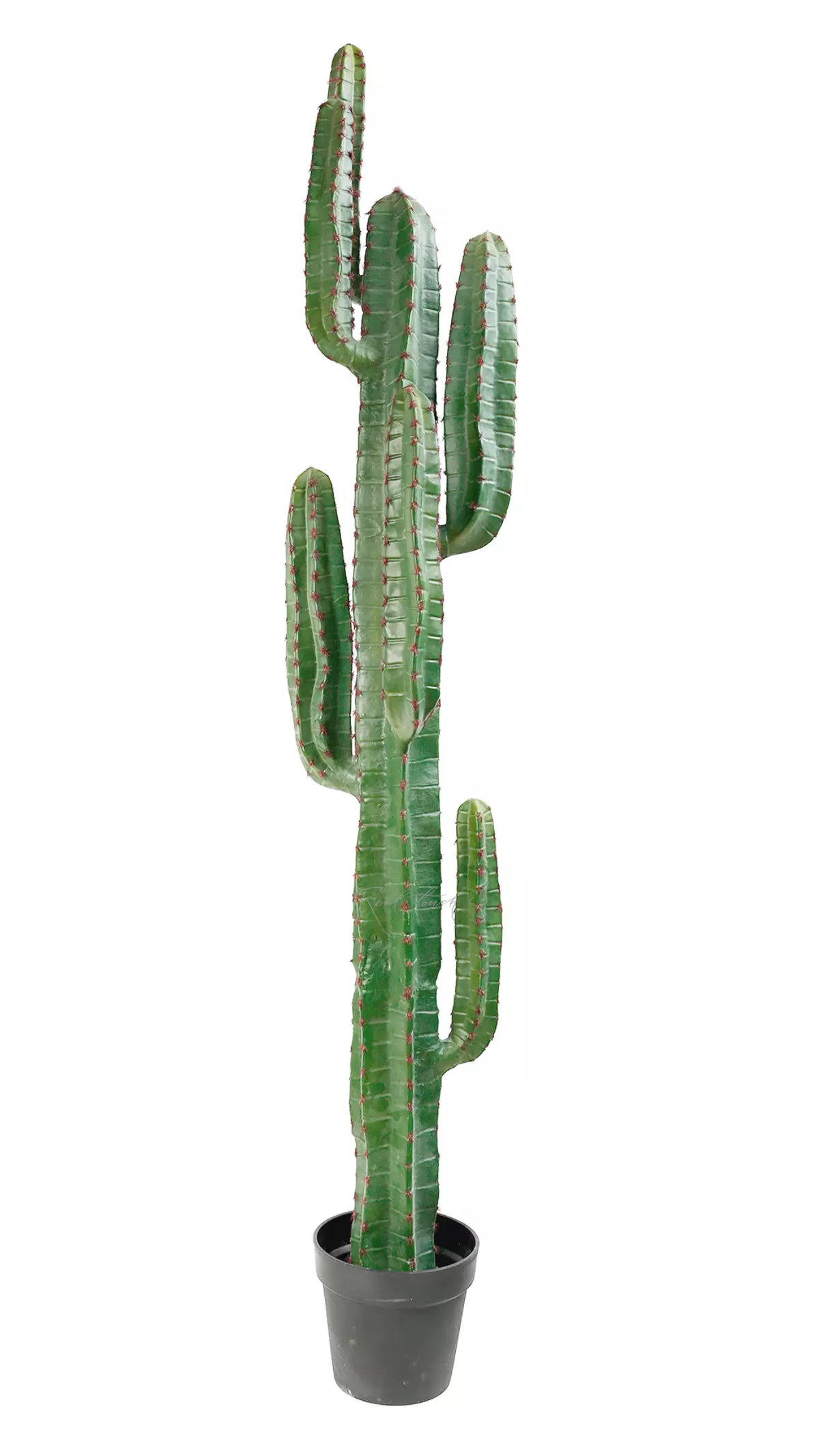 Real Touch Cactus Cereus big 161cm (with red needles)  - green