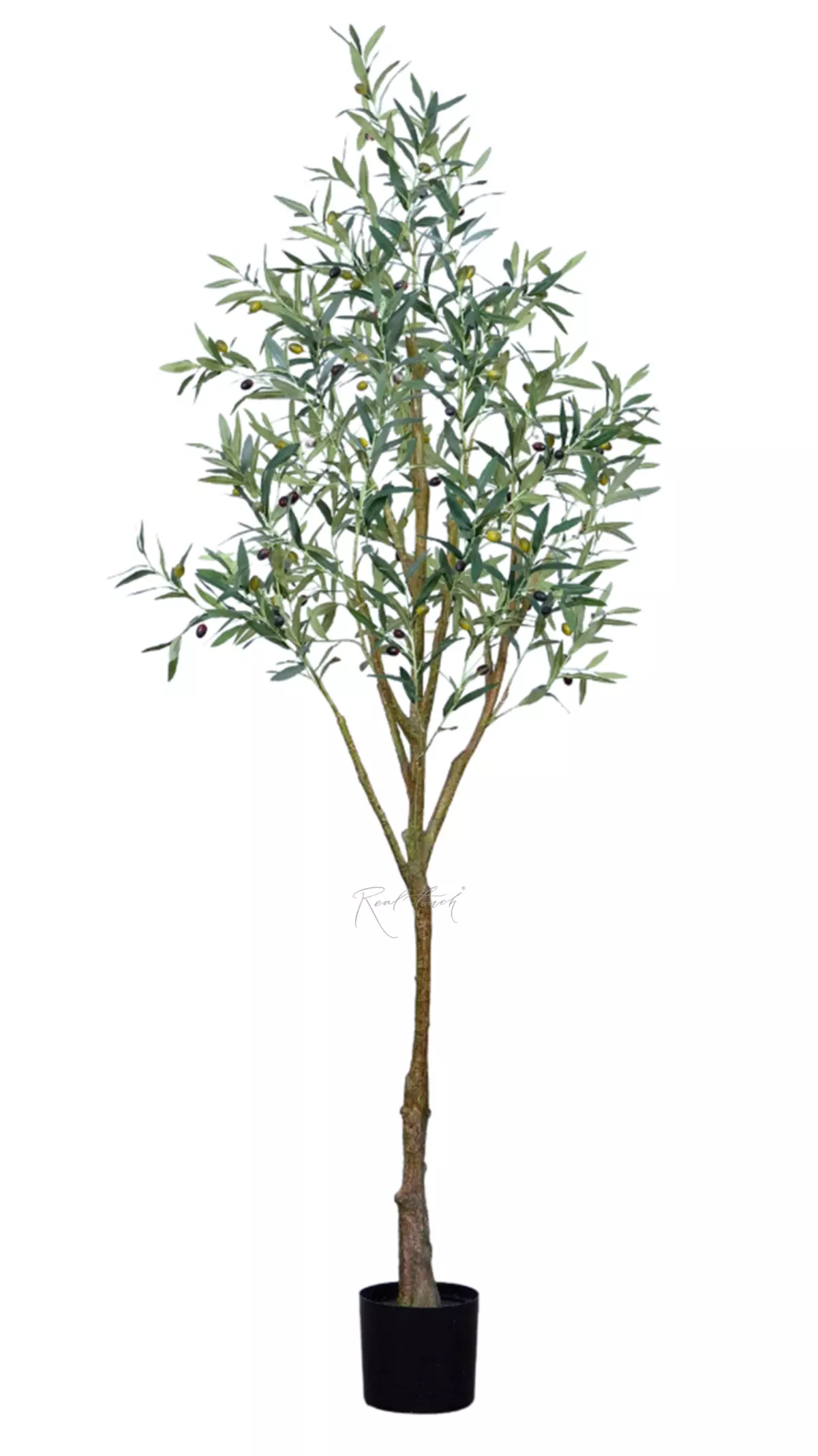 Artificial Olive Tree, Slim Shape, 240 cm, in pot - green Artificial Olive Tree, Slim Shape, 240 cm, in pot - green