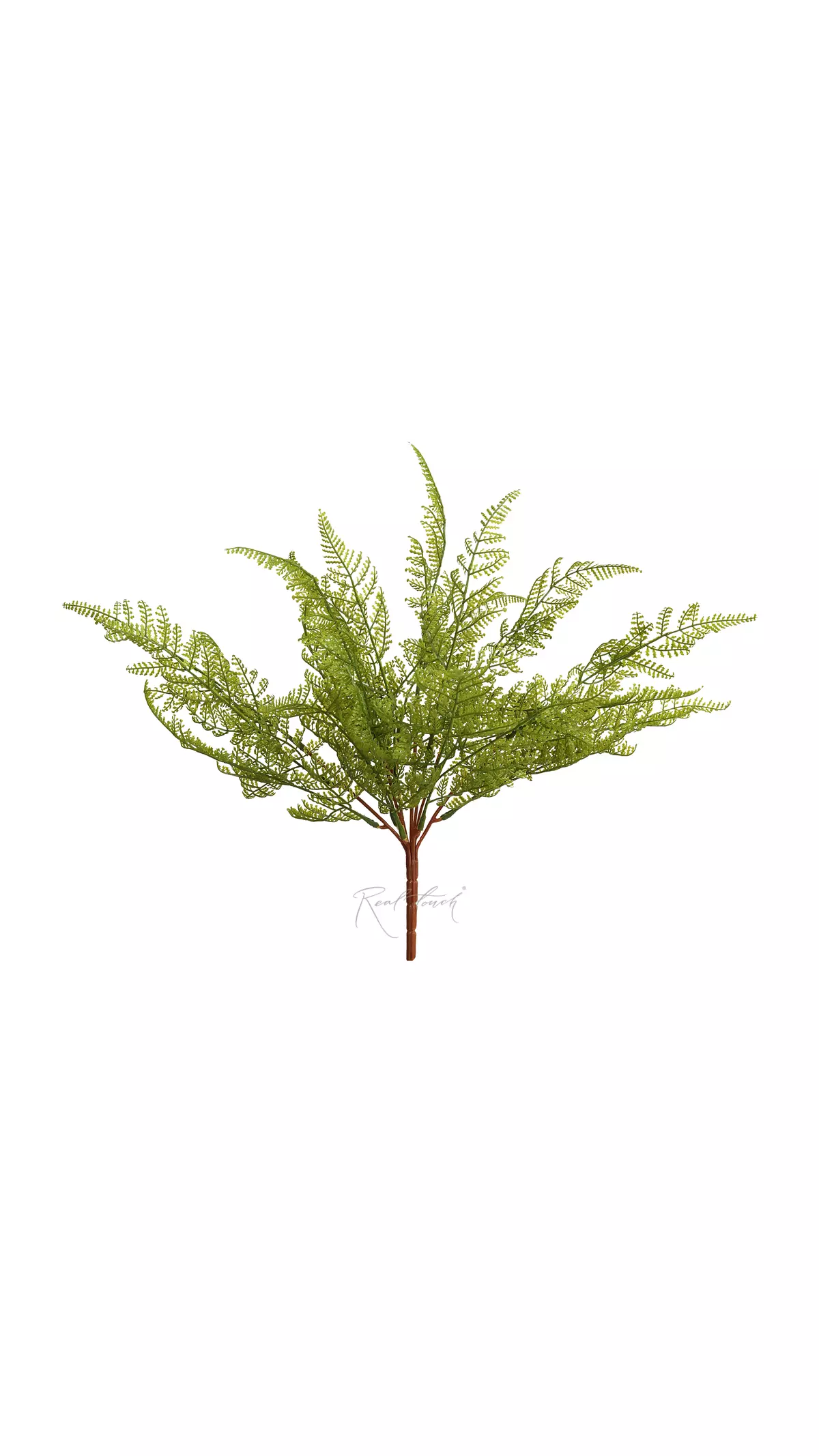 Real Touch Alpine Bulblet Fern  - green