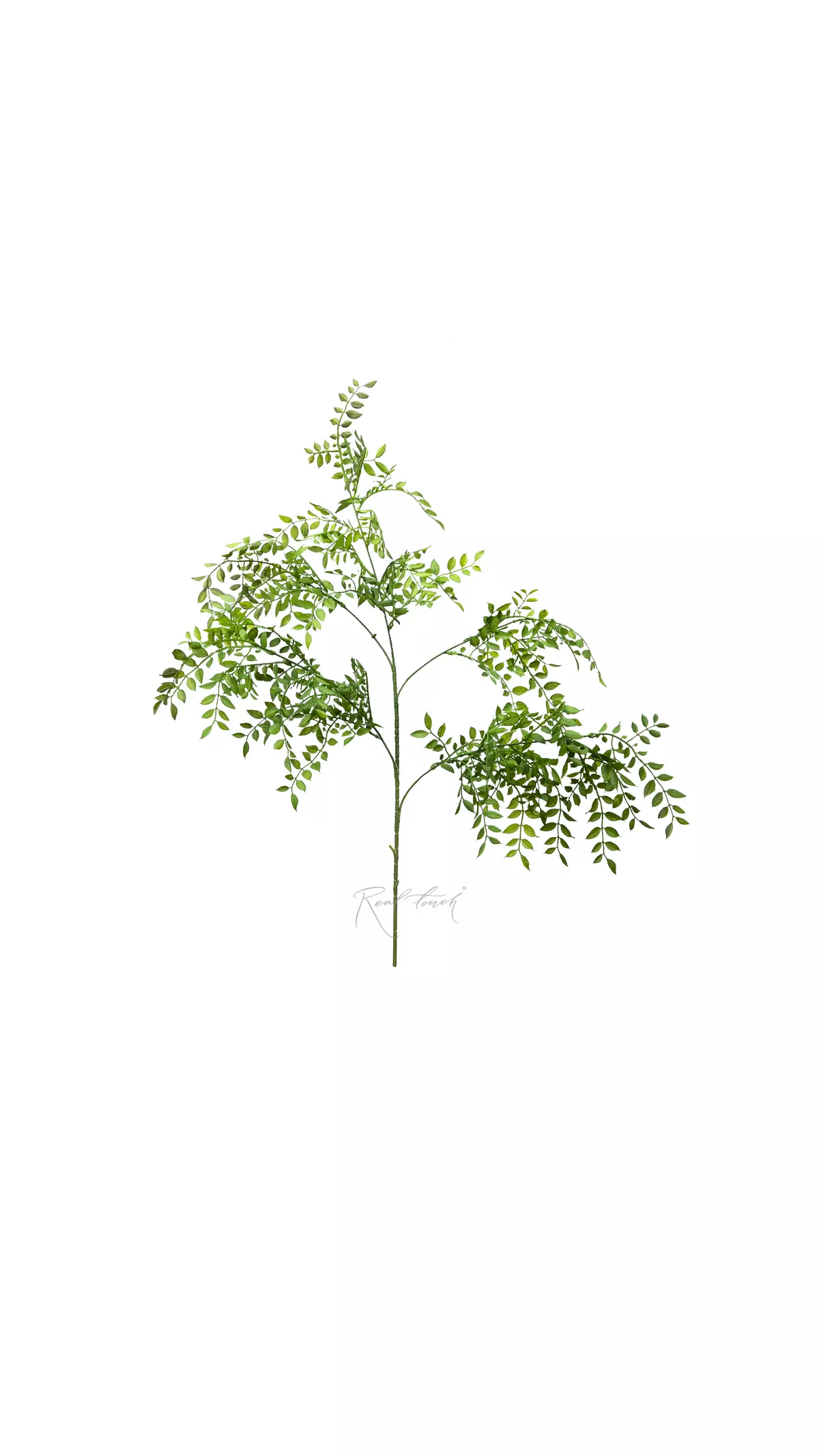 Artificial Ruscus branch - Green red