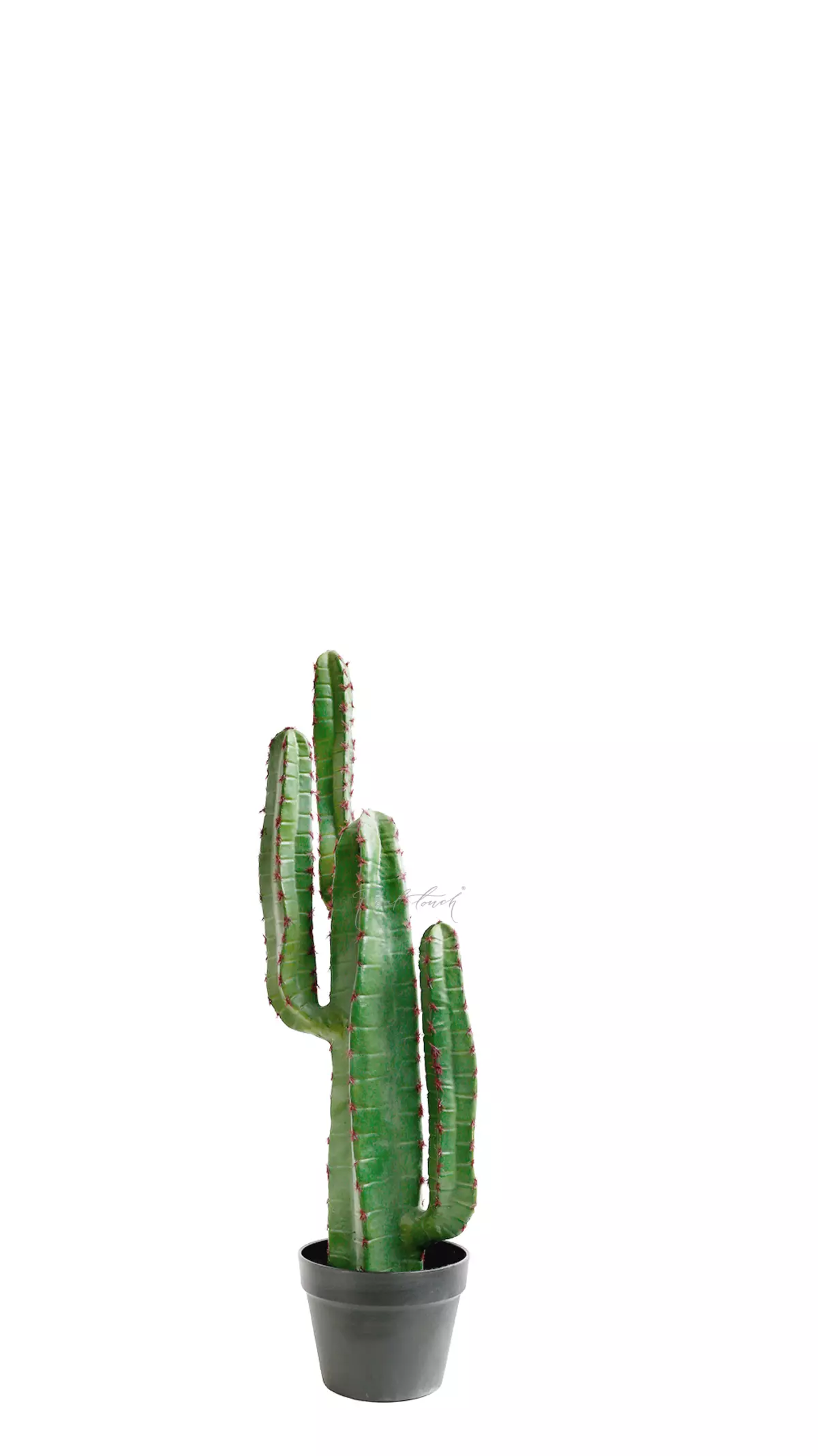 Real Touch Cactus Cereus small 78cm (with red needles)  - green