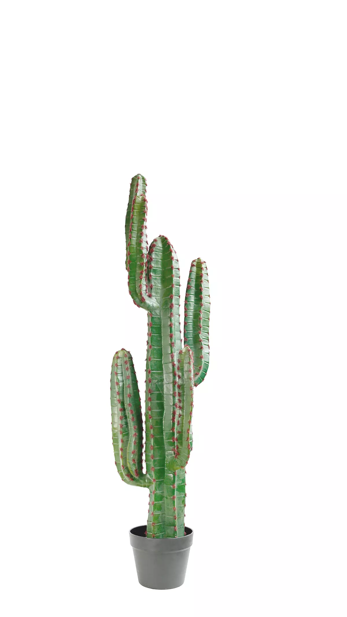 Real Touch Cactus Cereus medium 115cm (with red needles)  - green