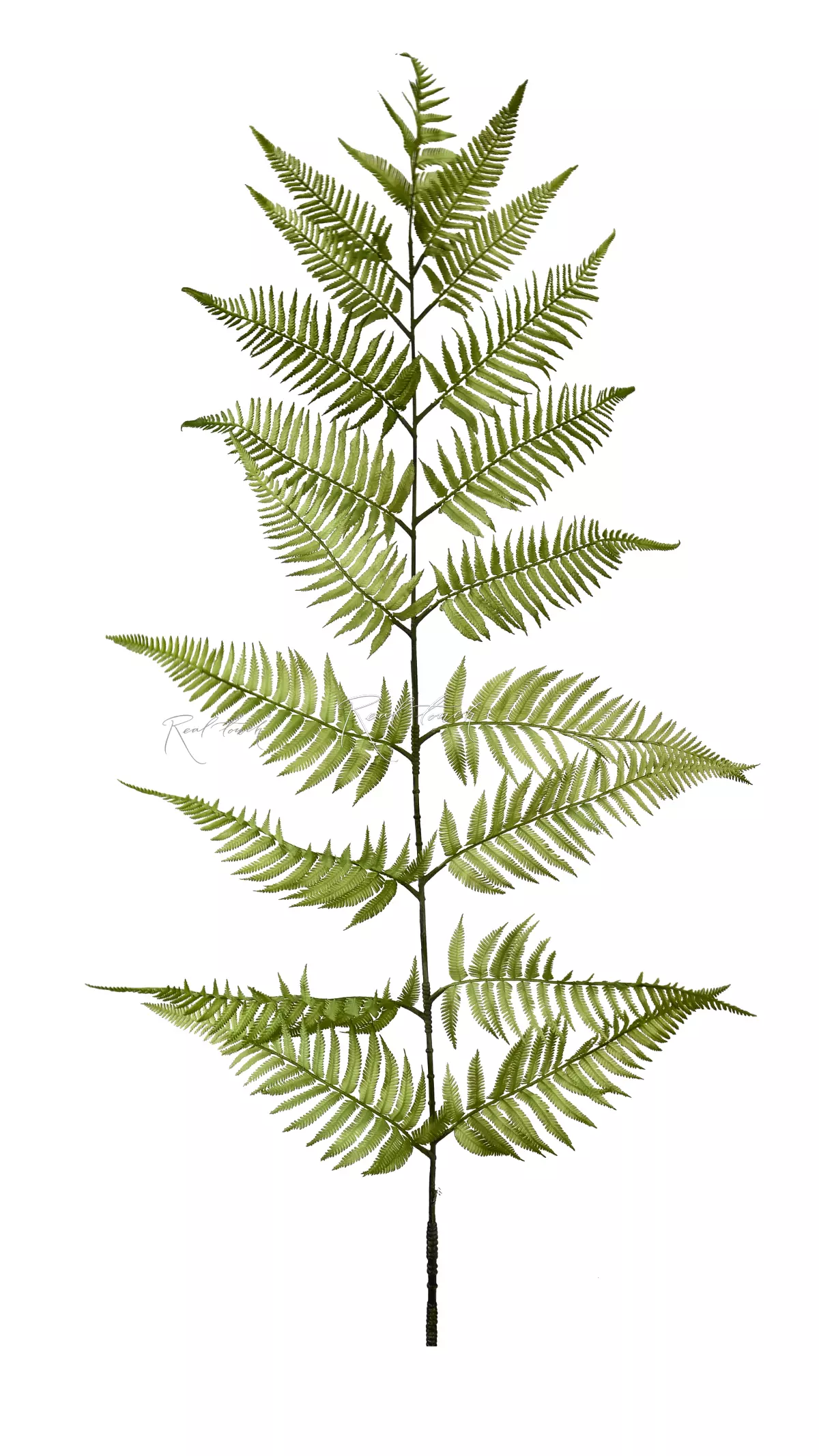 Tree-like branch of fern 180cm - green