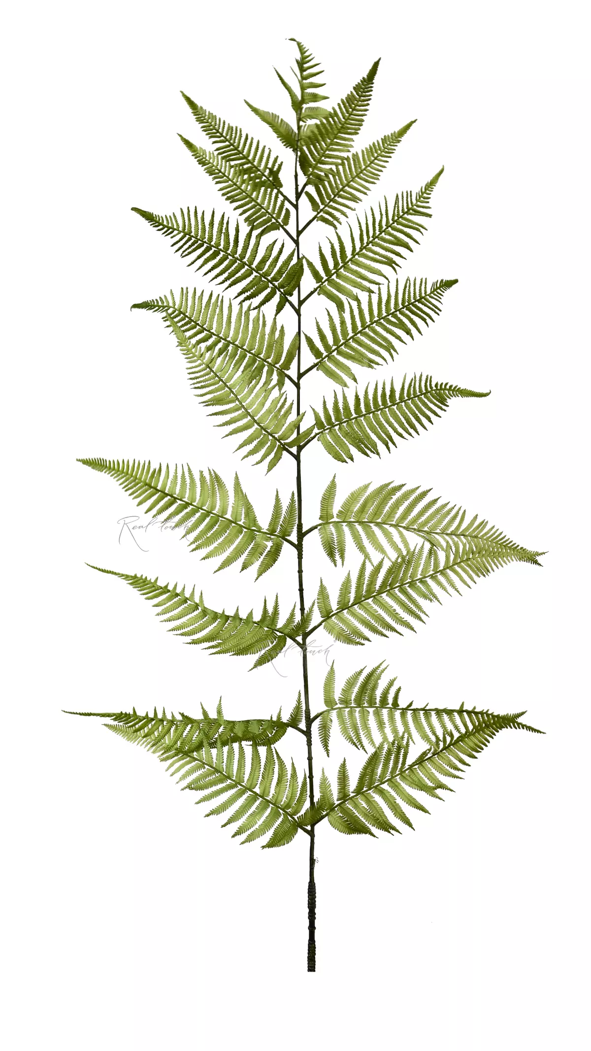 Tree-like branch of fern 180cm - green Tree-like branch of fern 180cm - green