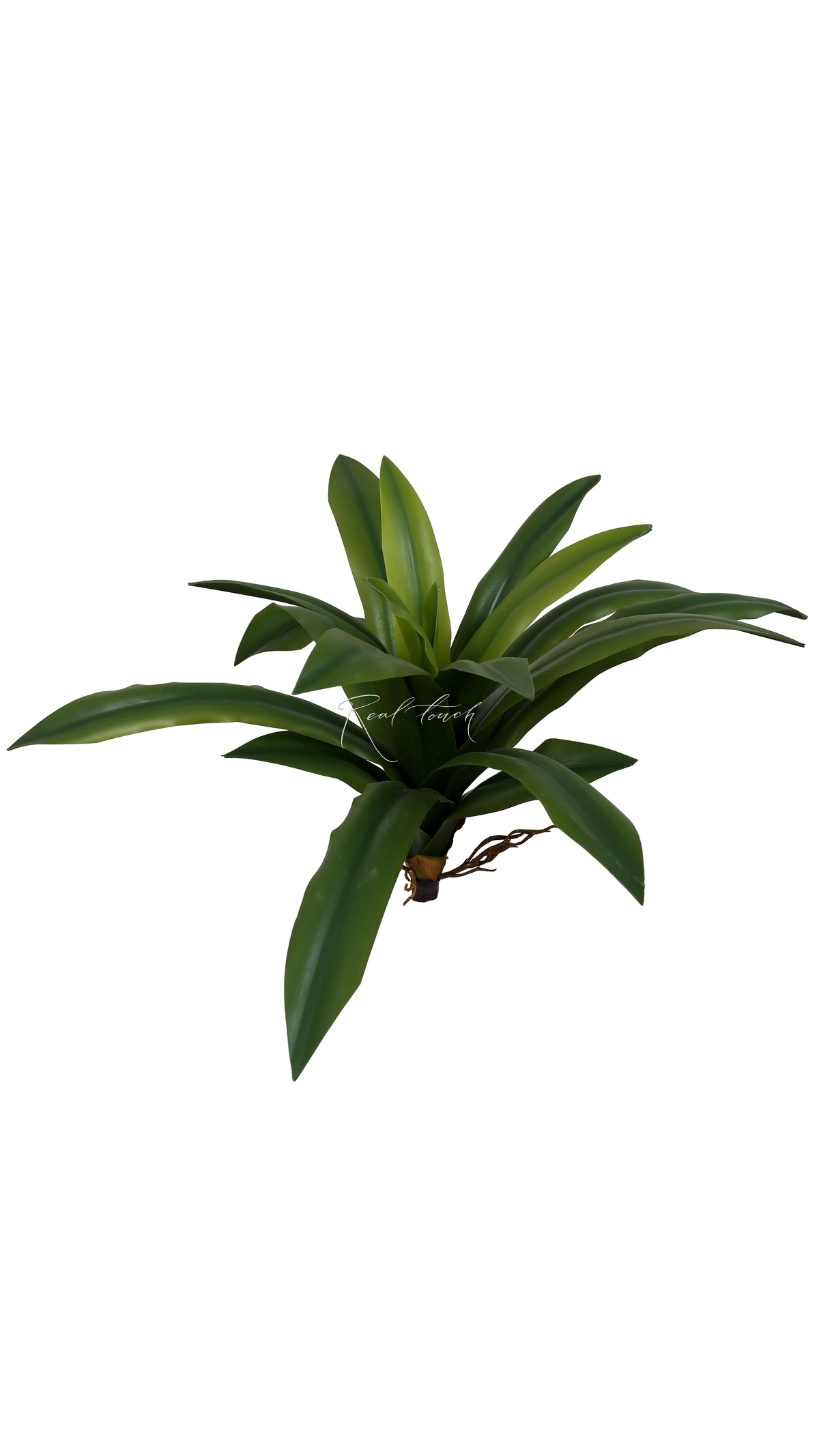 Large Bush with Leaves - green