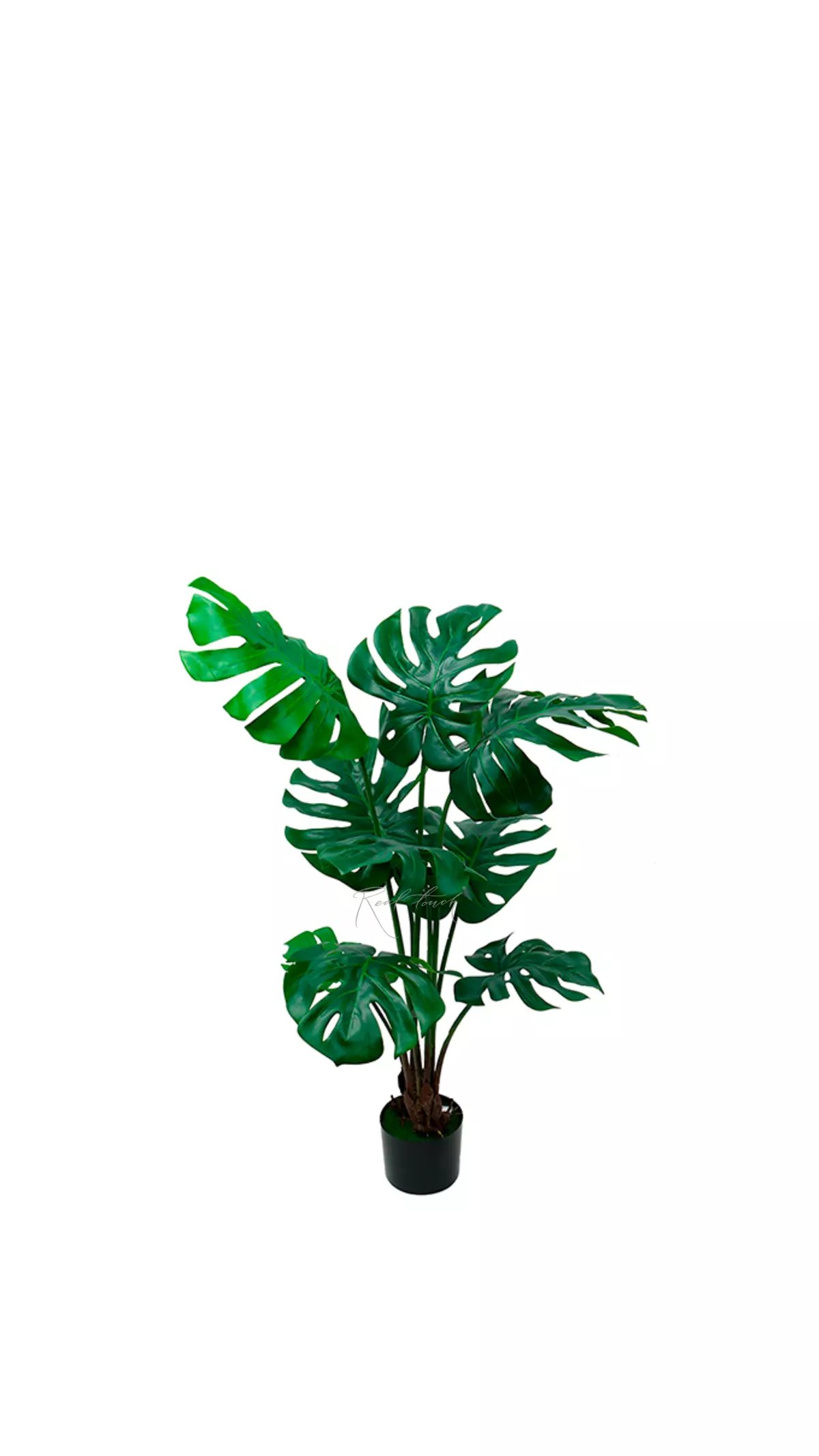 Monstera bush 120 cm in the planters - green Monstera bush 120 cm in the planters - green