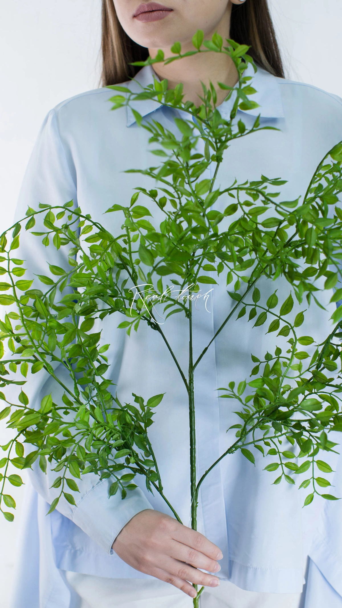 Artificial Ruscus branch - green