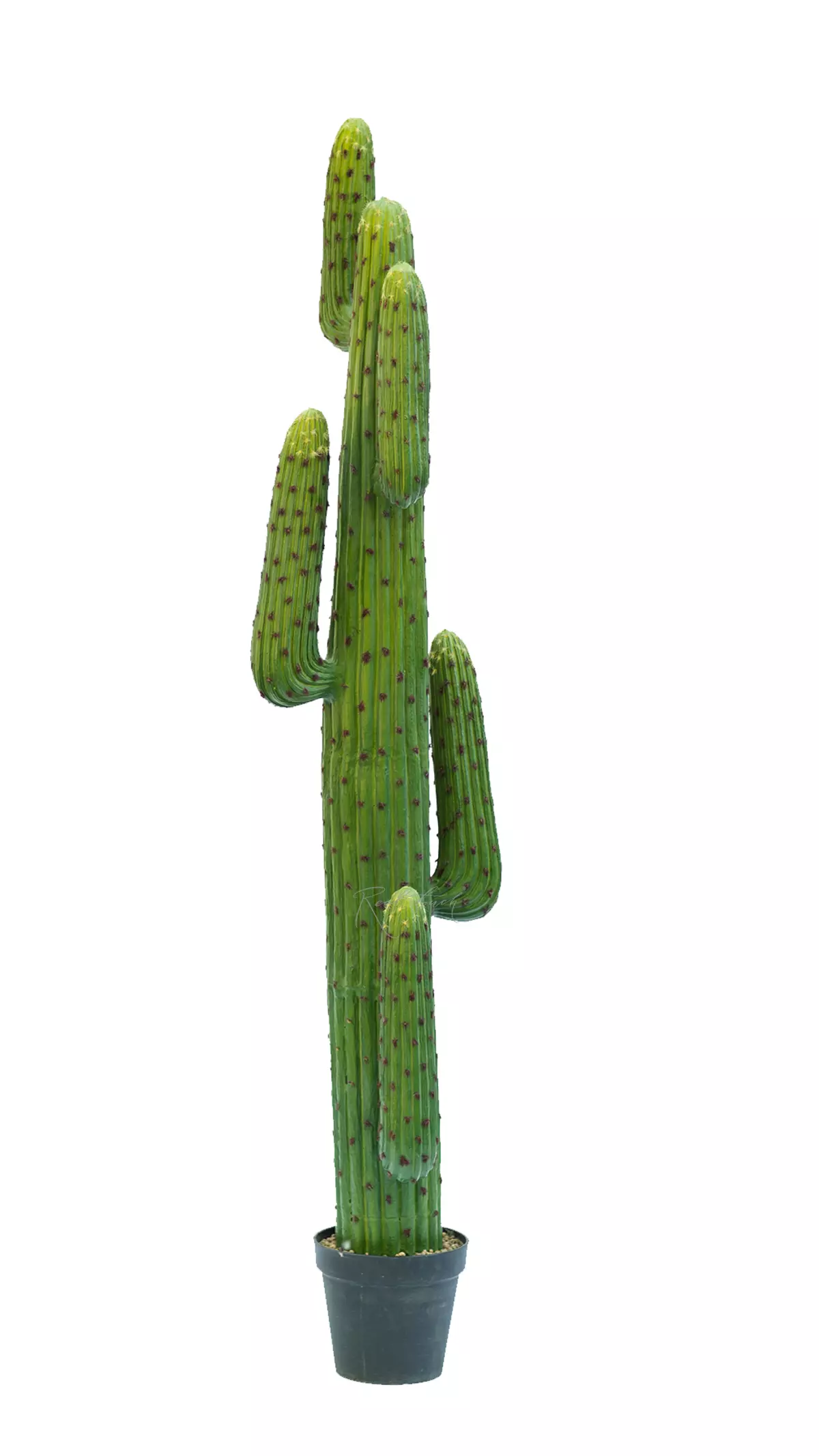 Real Touch Cactus Cereus round 172cm - green