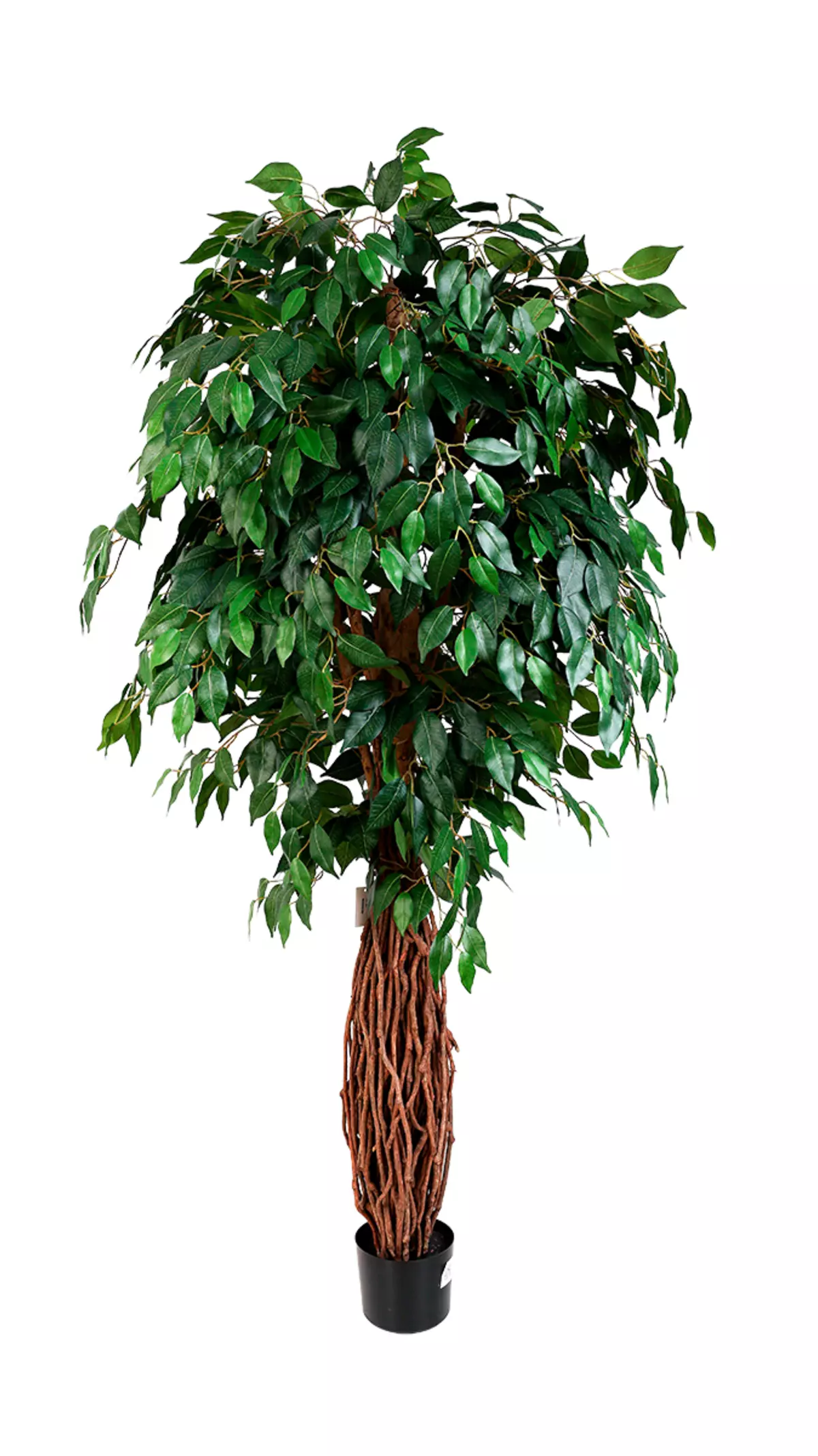 Artificial  Ficus Benjamina Liana  180cm  - green