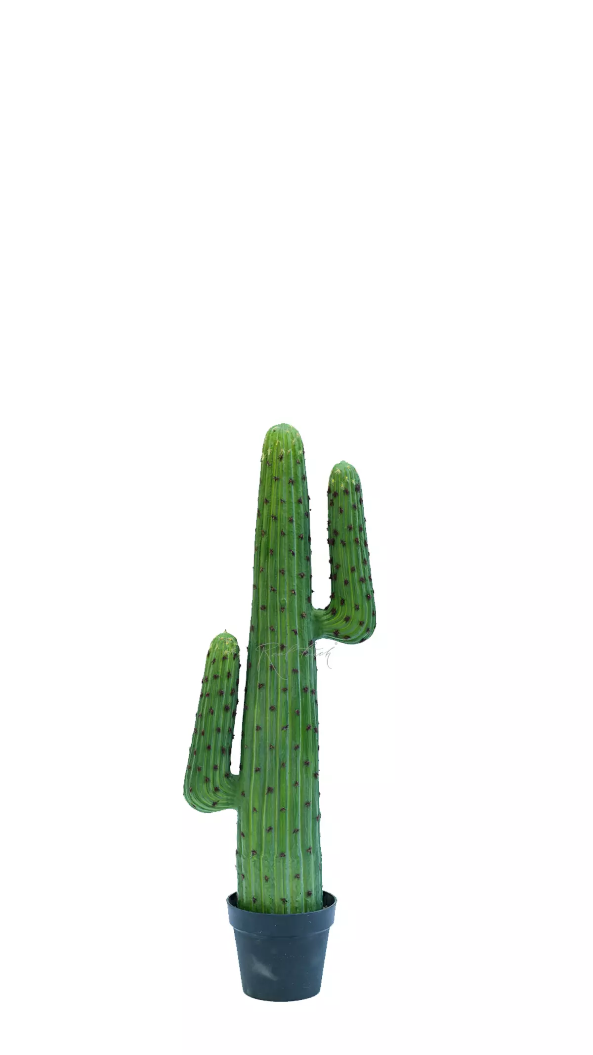Real Touch Cactus Cereus round 102cm - green