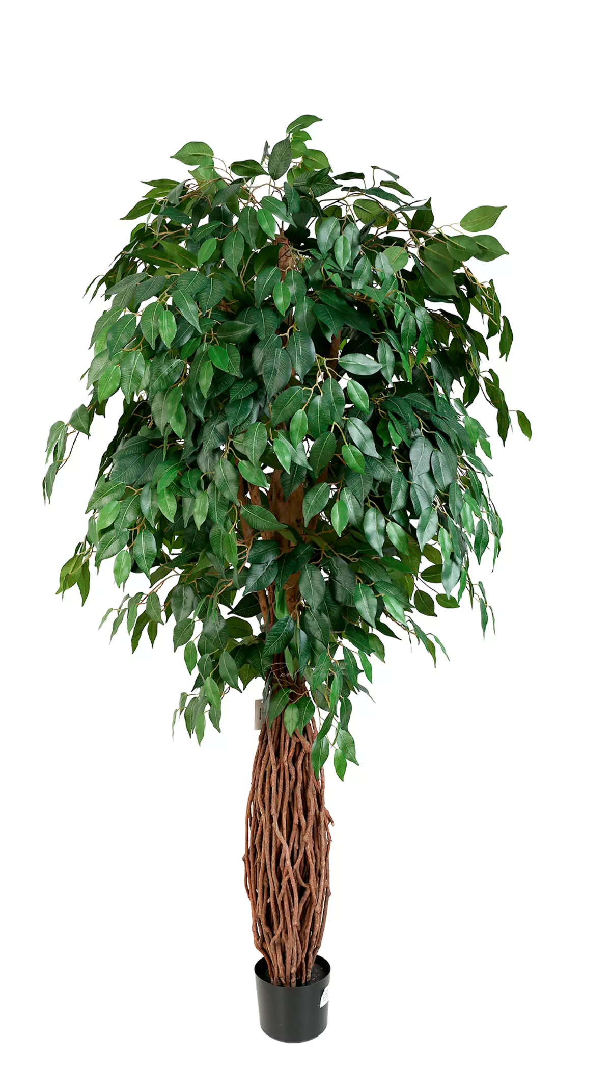 Artificial  Ficus Benjamina Liana  180cm  - green