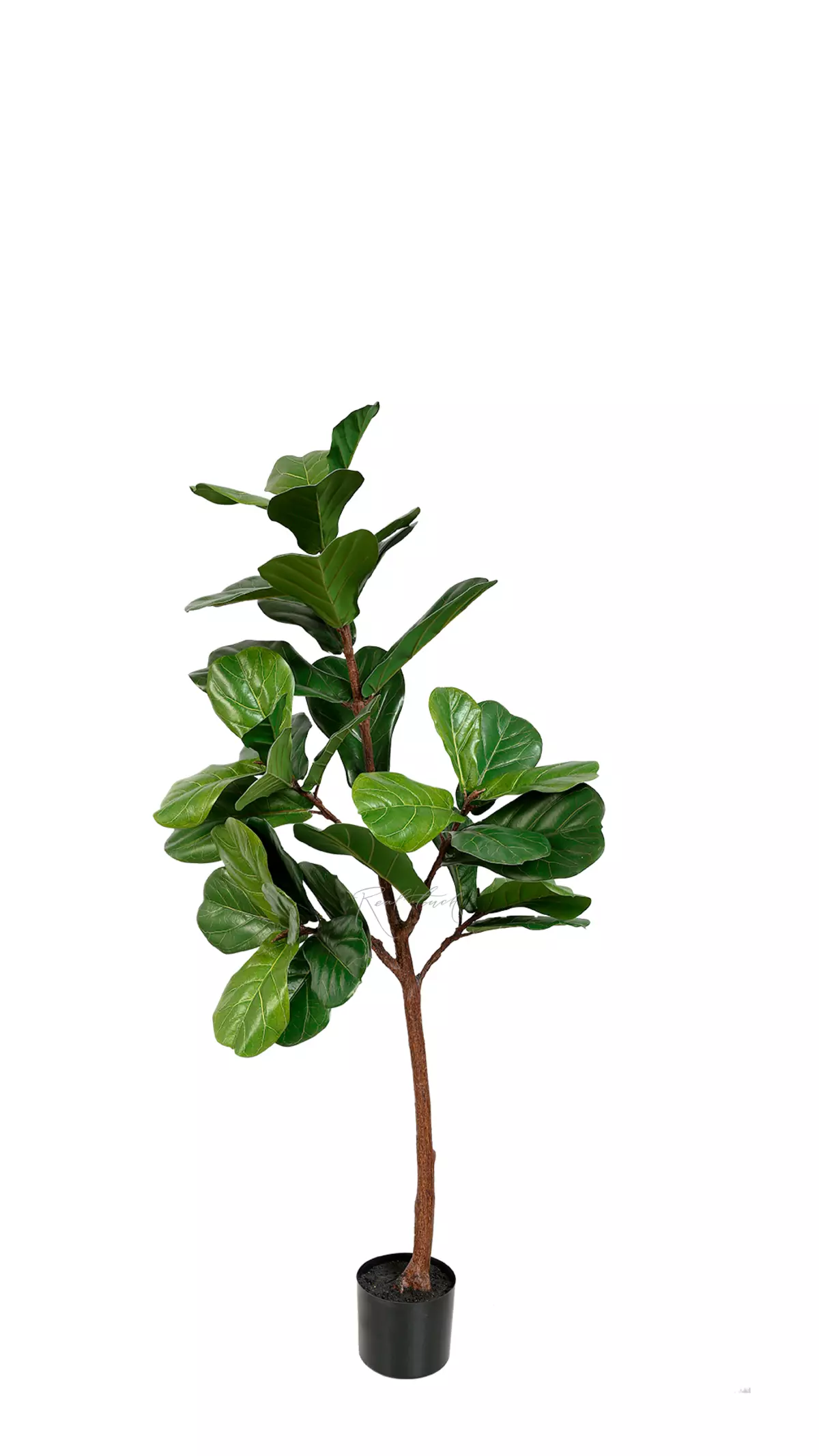 Artificial Ficus Lyrata 140cm - green Artificial Ficus Lyrata 140cm - green