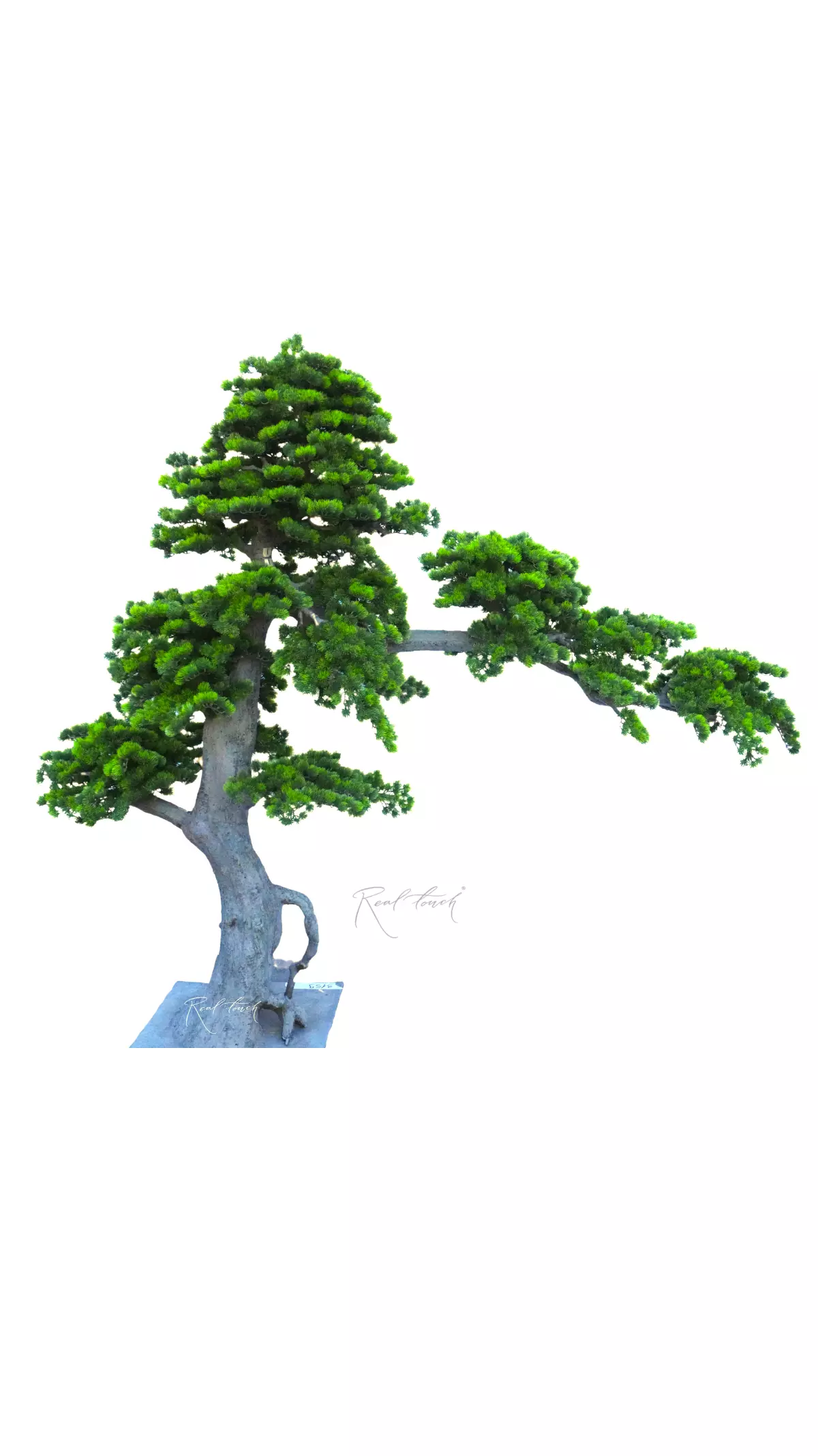 Bonsai tree 217*250*80 cm - green