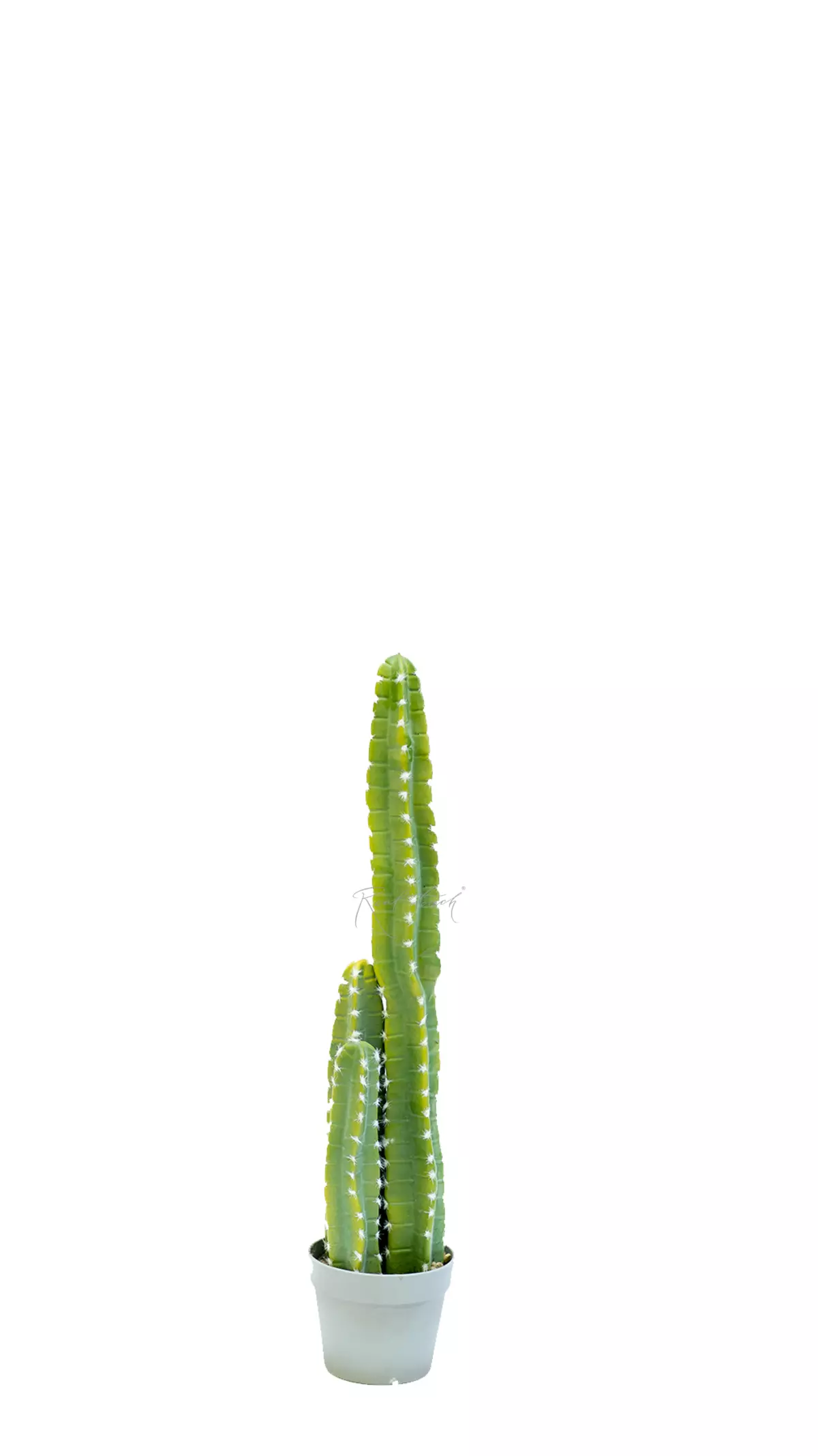 Real Touch Cactus Cereus straight small 75cm - green Real Touch Cactus Cereus straight small 75cm - green