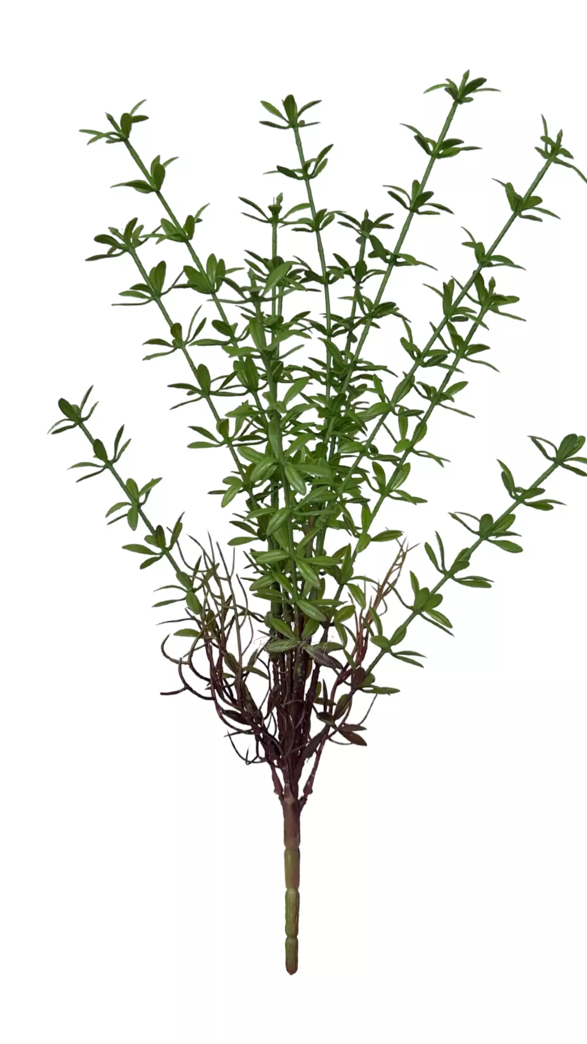 Branch HW-9000 - green