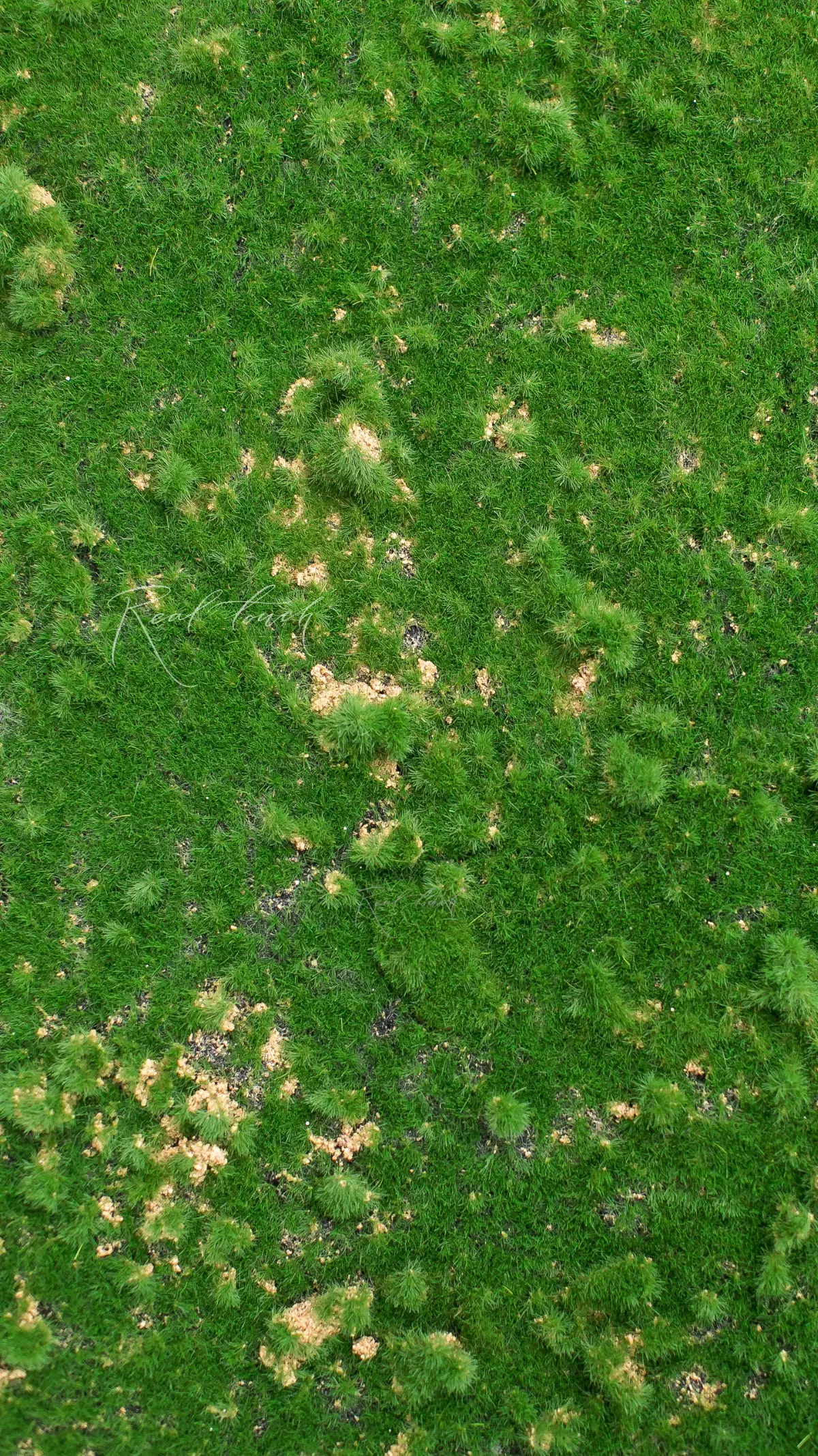 Moss with Synthetic Insulation 003, 2*1 m - green