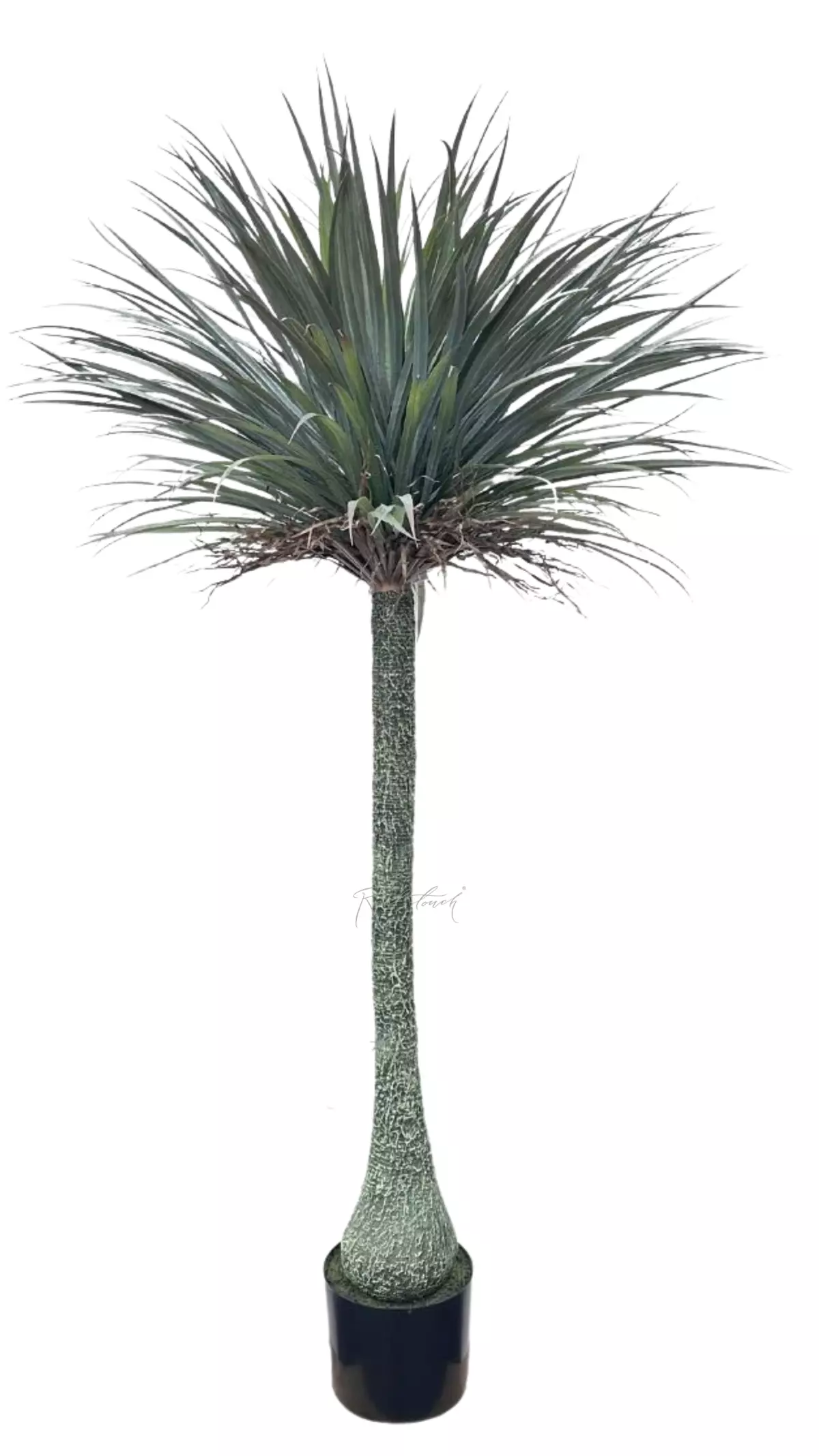 Artificial Nolina 195cm - green Artificial Nolina 195cm - green